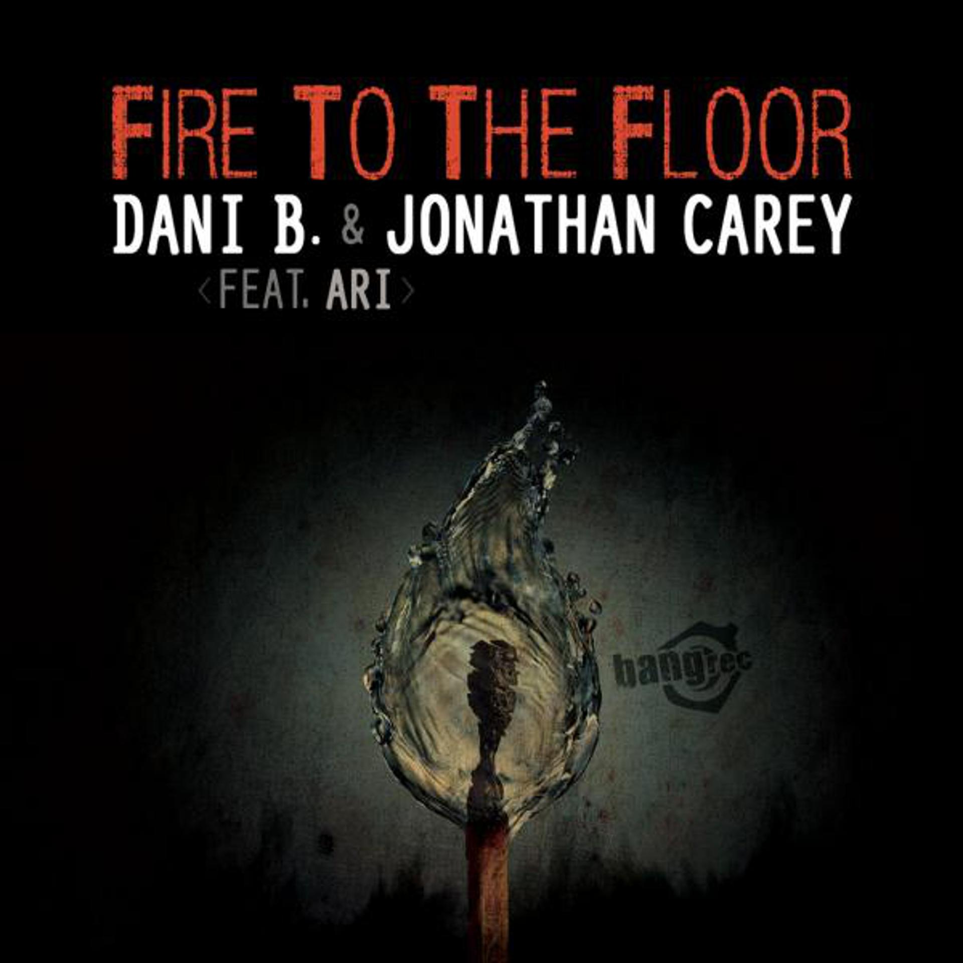 Постер альбома Fire To The Floor