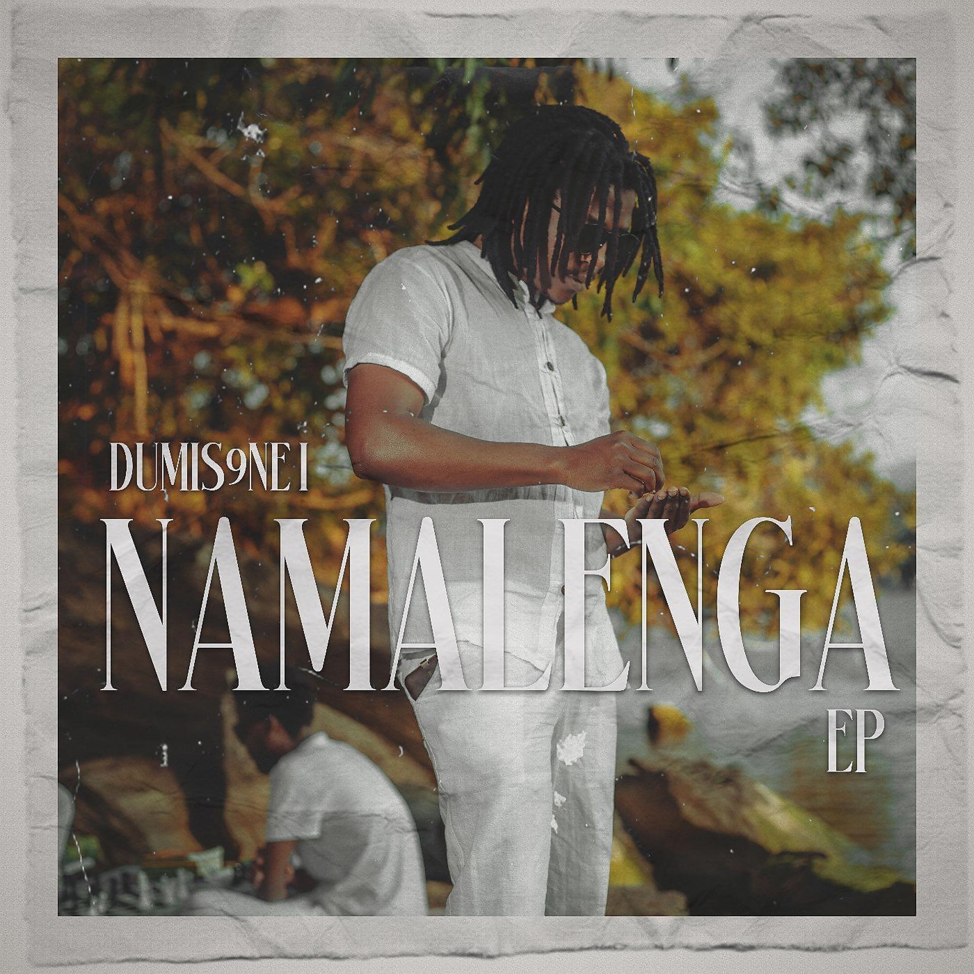 Постер альбома Namalenga