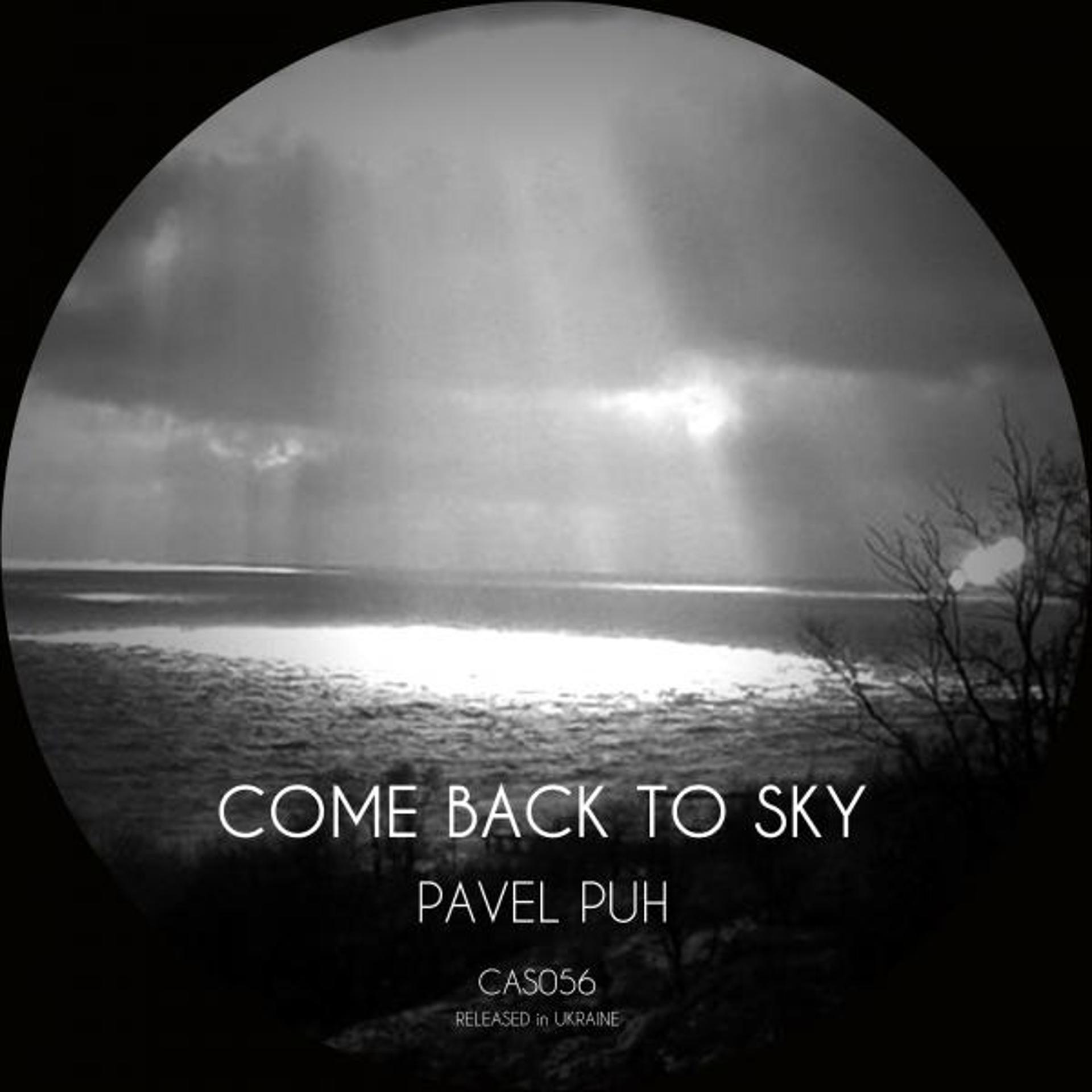 Постер альбома Come Back To Sky