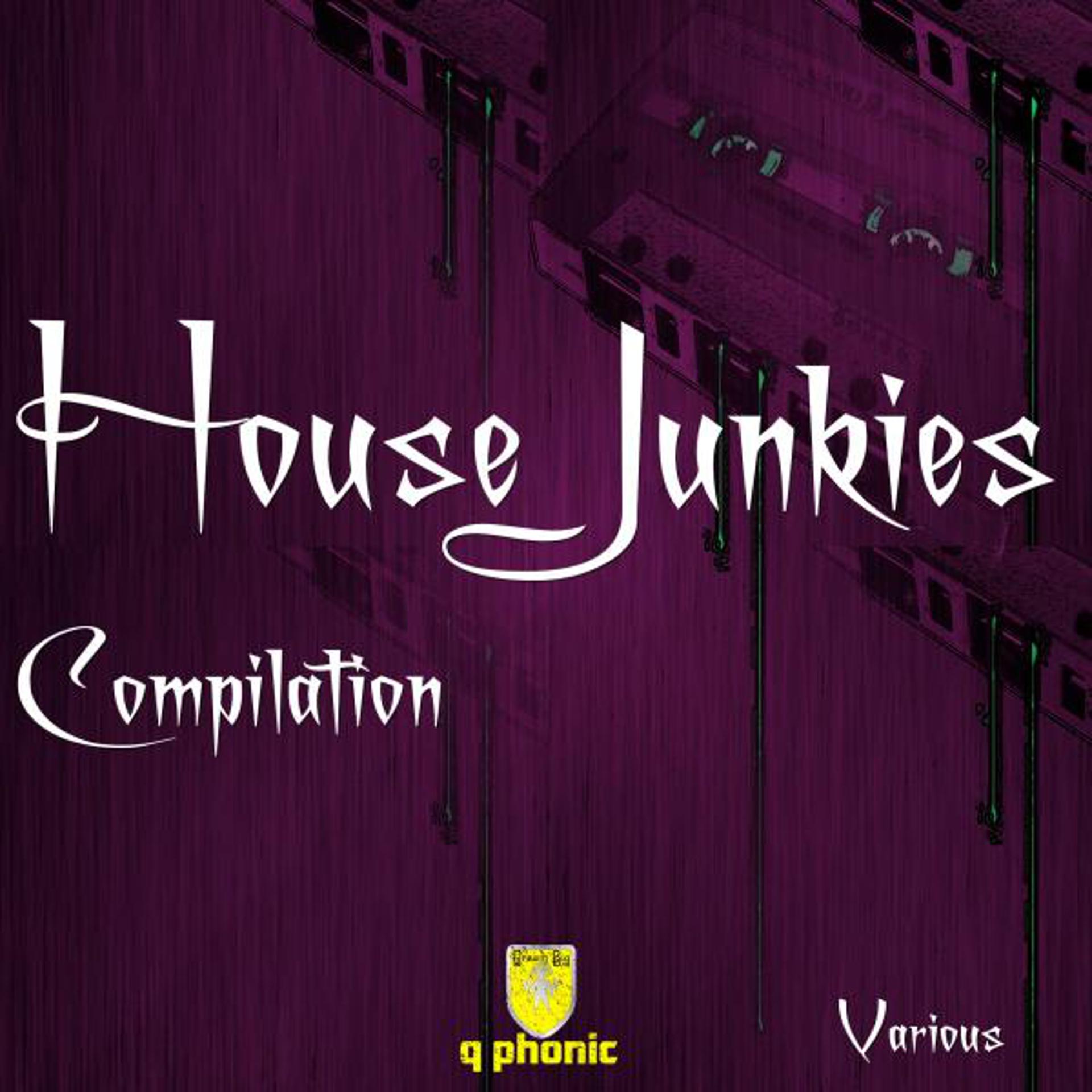 Постер альбома House Junkies