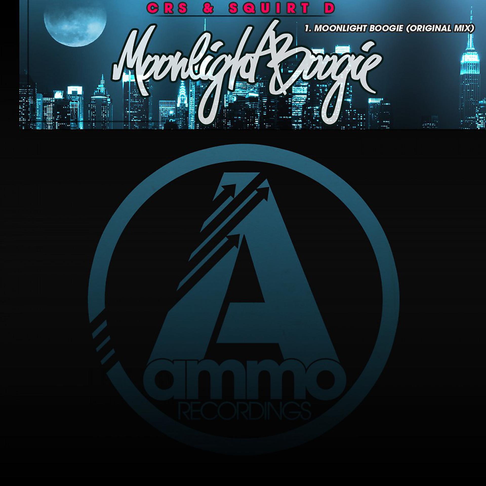 Постер альбома Moonlight Boogie (Original Mix)