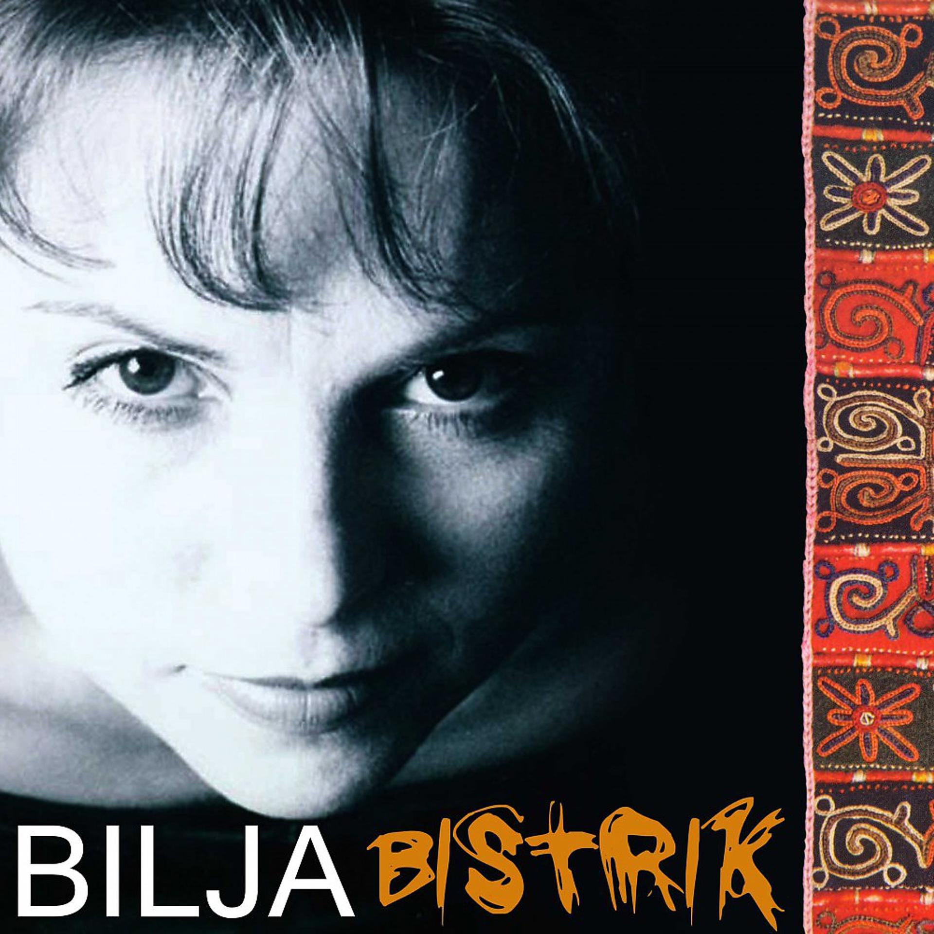Постер альбома Bistrik