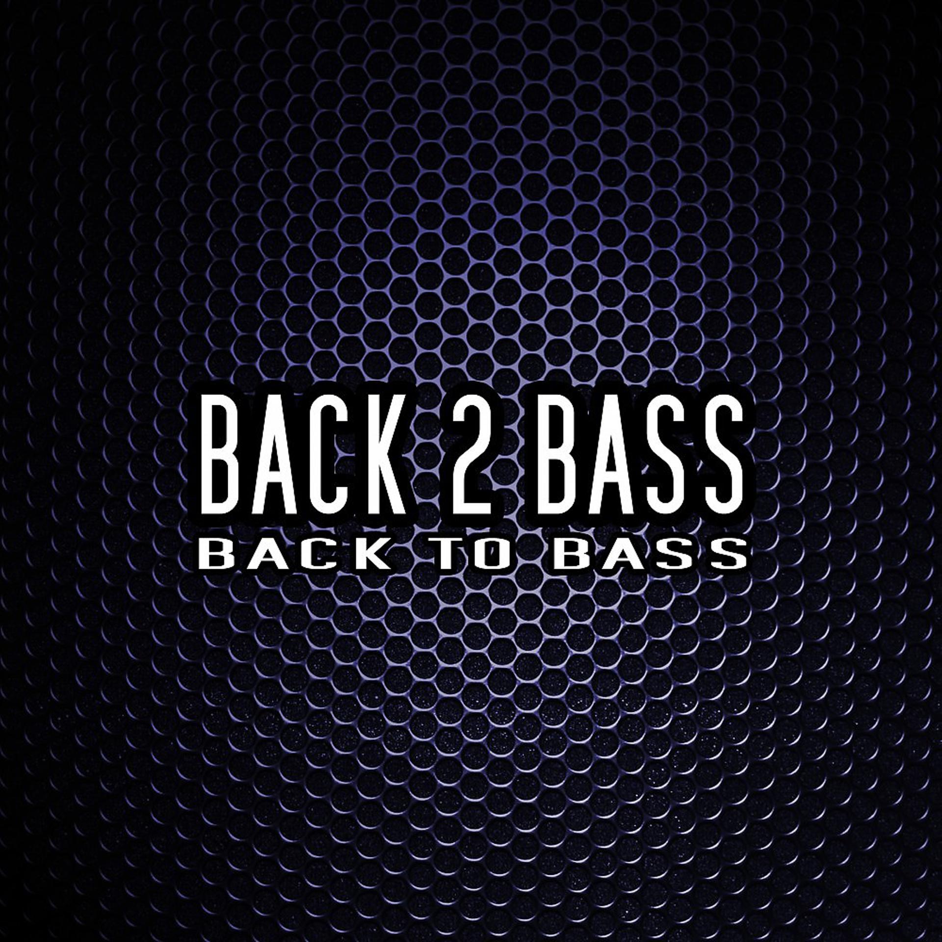 Постер альбома Back to Bass