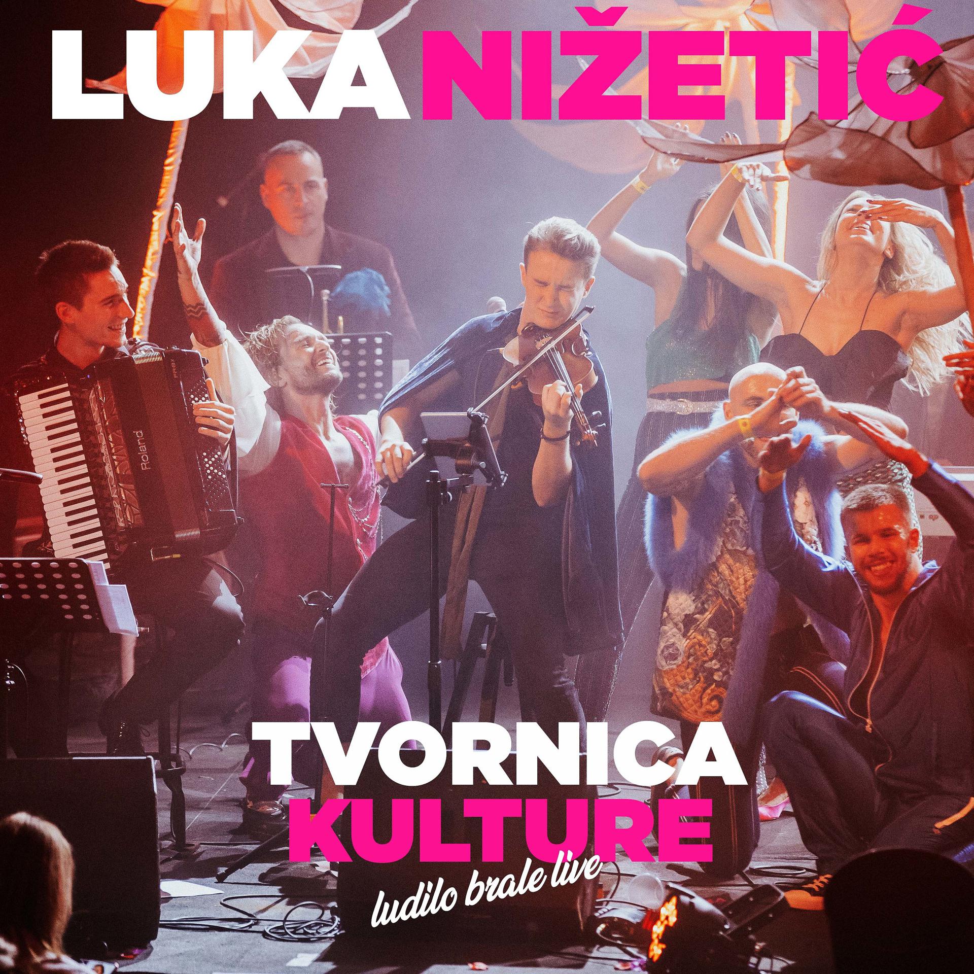 Постер альбома Ludilo brale