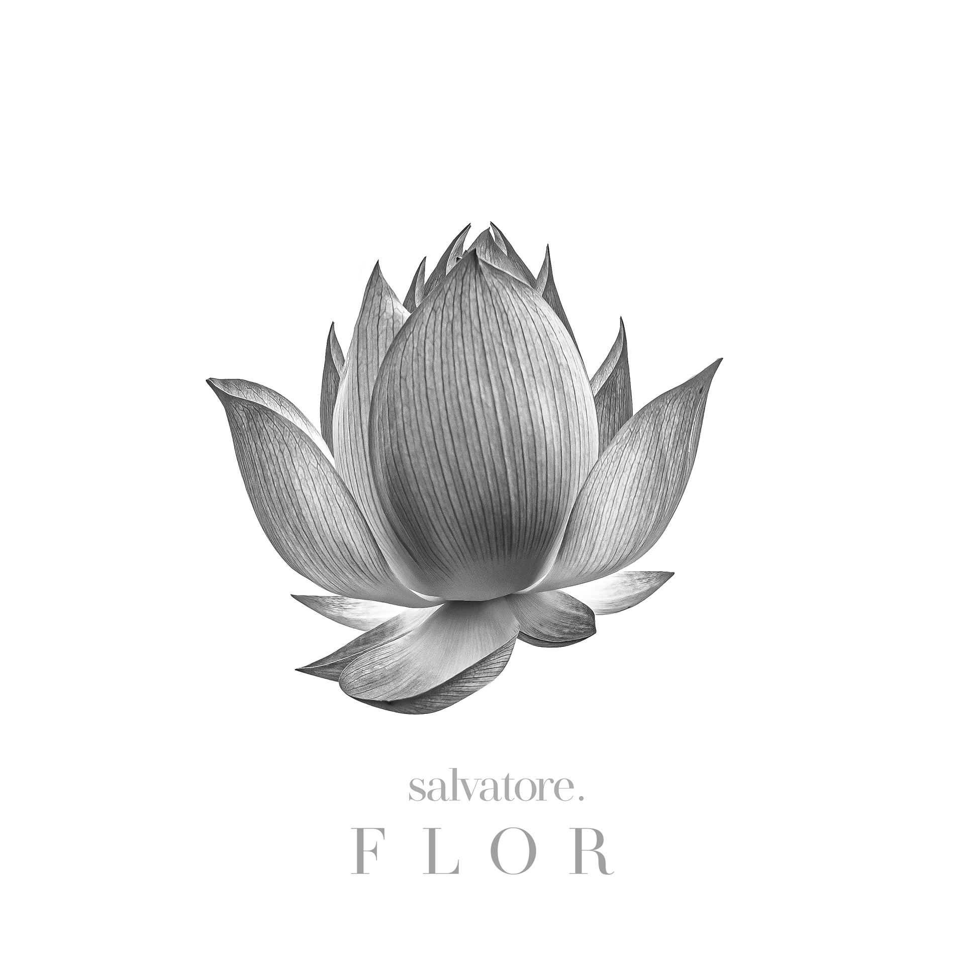 Постер альбома Flor