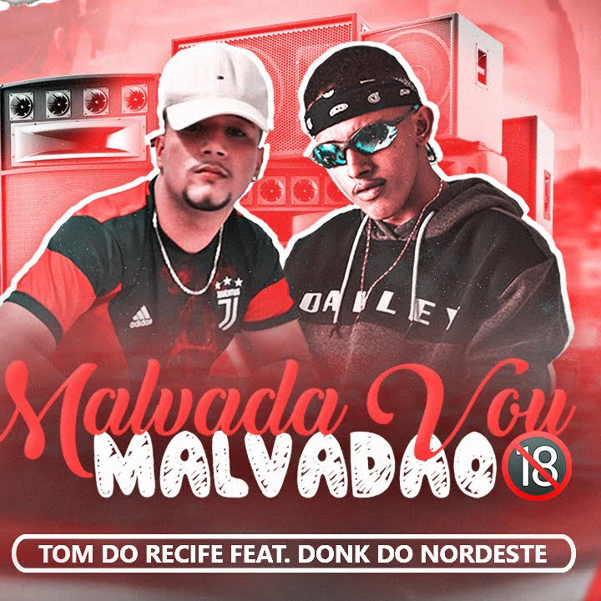 Постер альбома Malvada Vou Malvadão