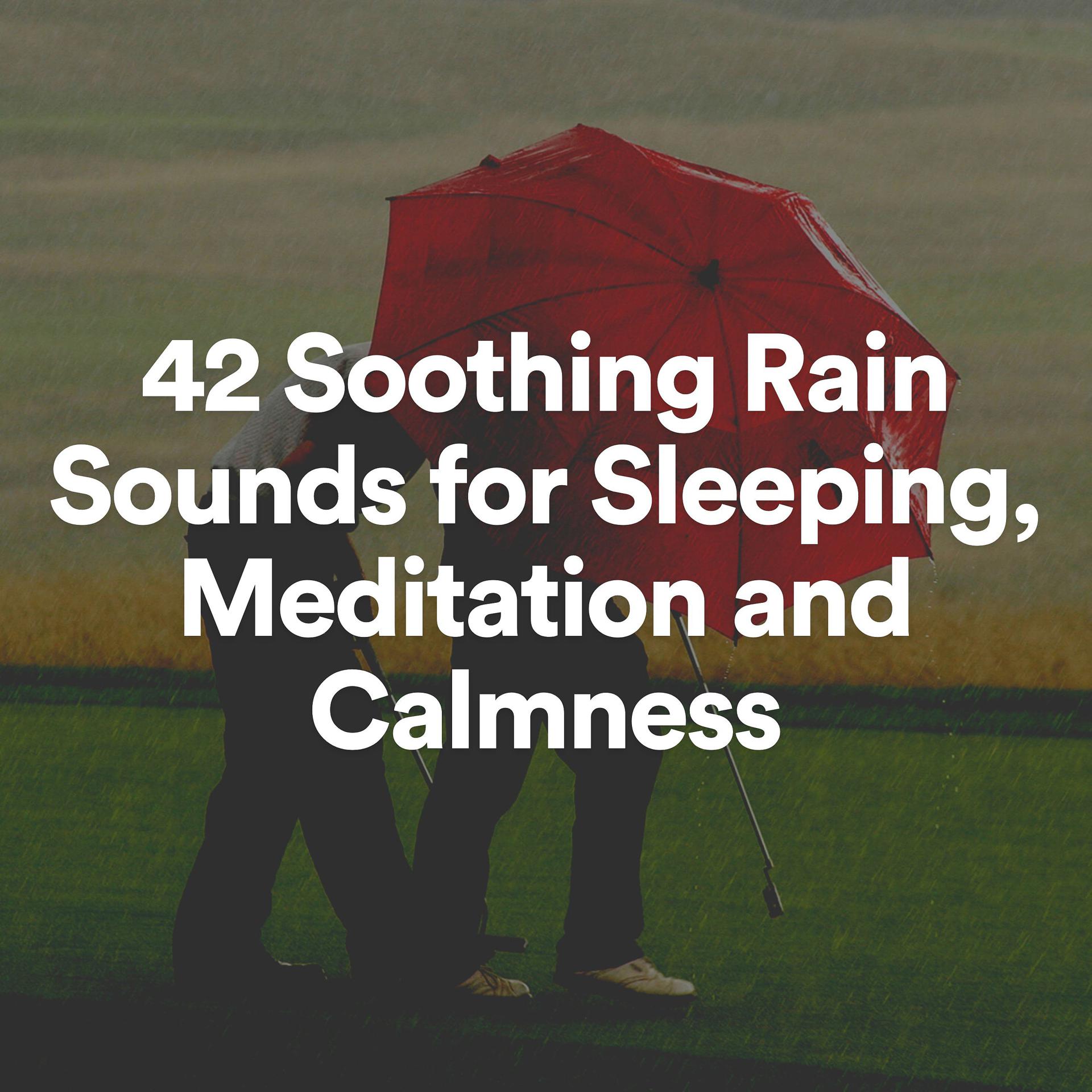 Постер альбома 42 Soothing Rain Sounds for Sleeping, Meditation and Calmness