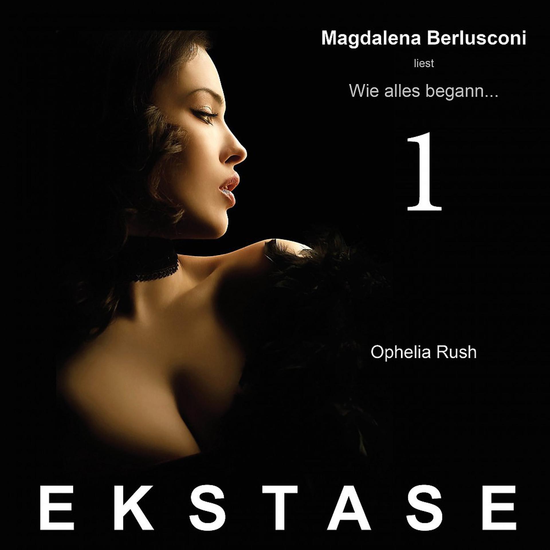 Постер альбома Ekstase - Wie alles begann...