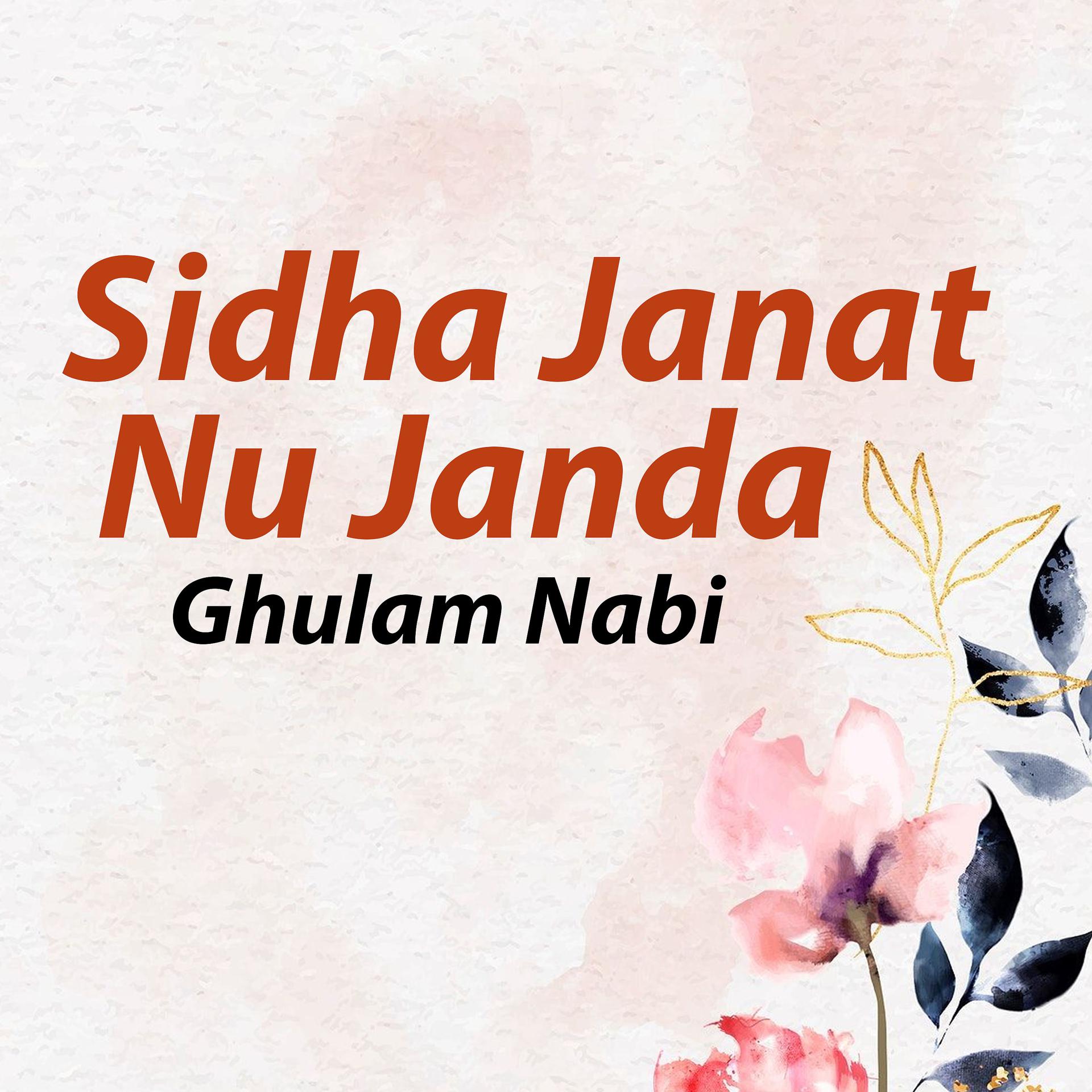 Постер альбома Sidha Janat Nu Janda