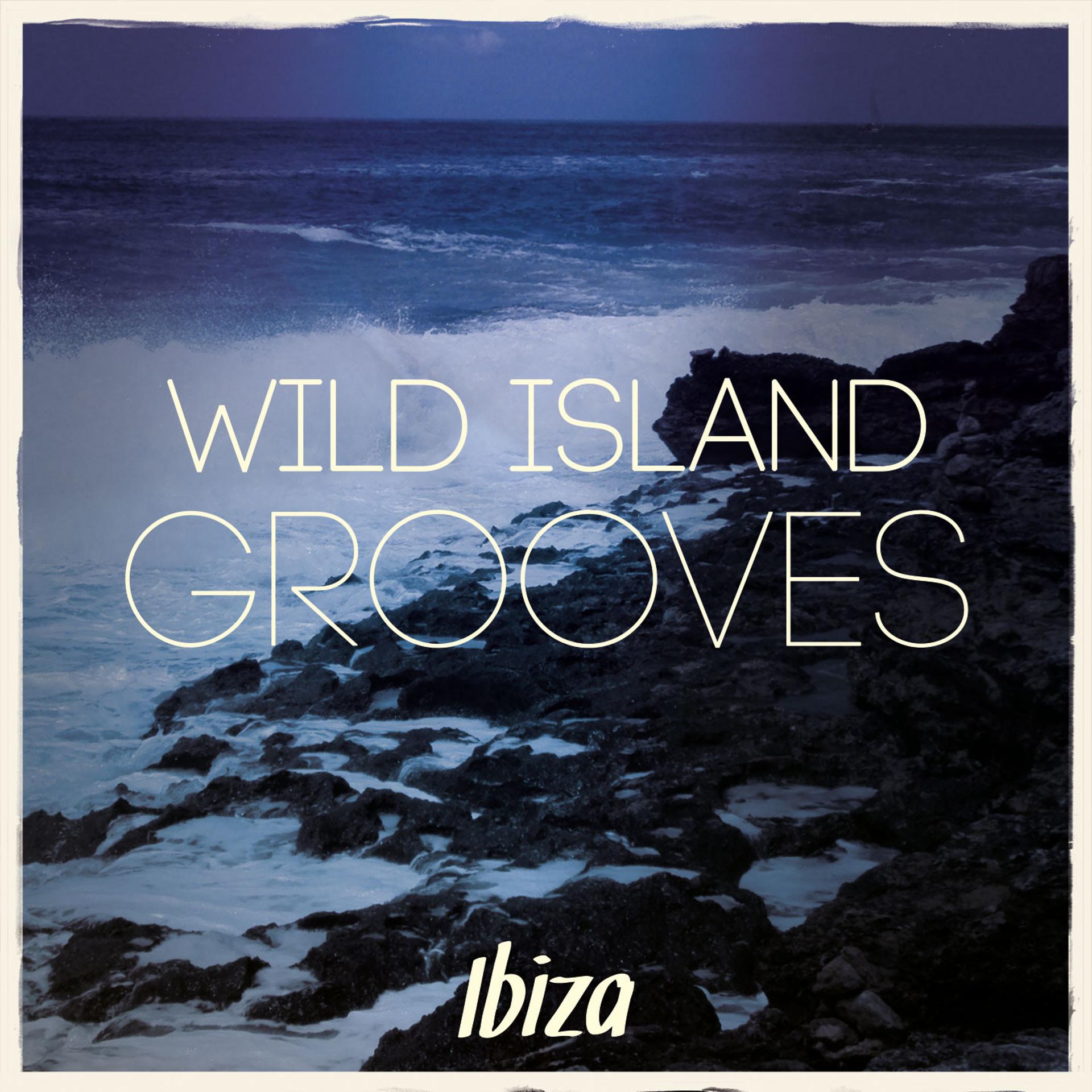 Постер альбома Wild Island Grooves - Ibiza, Vol. 1