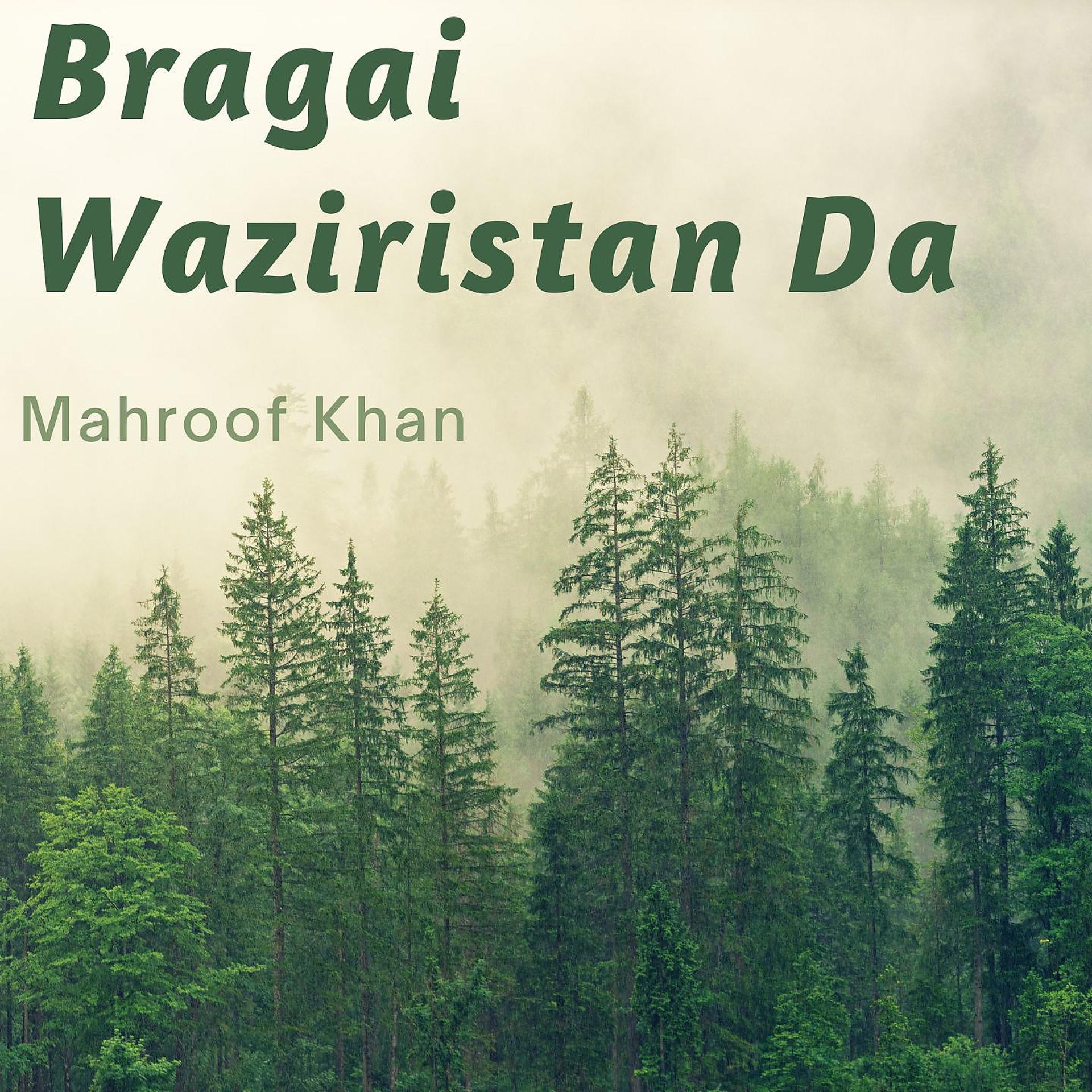 Постер альбома Bragai Waziristan Da