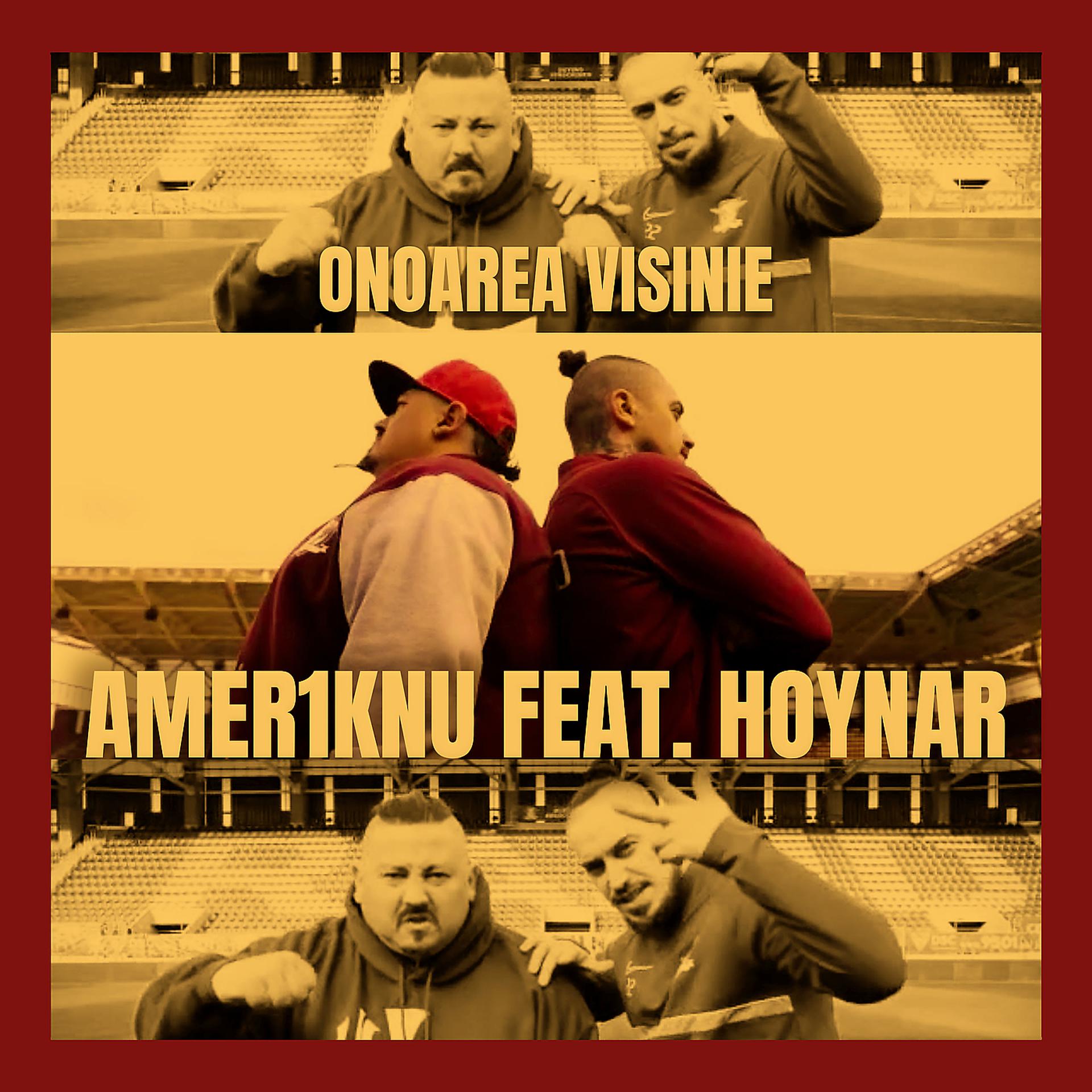 Постер альбома Onoarea Visinie