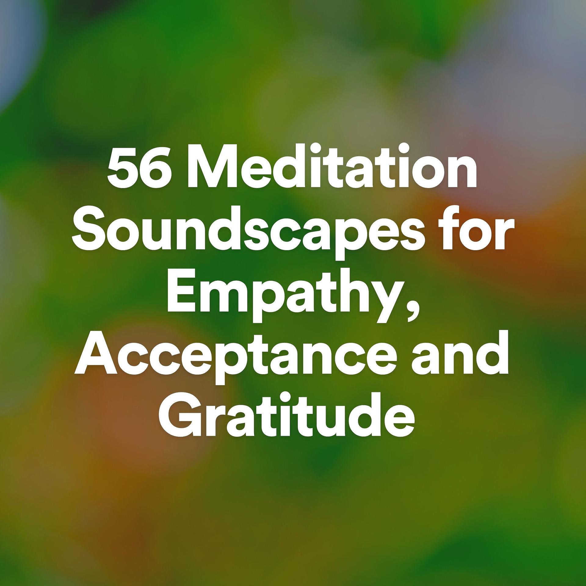 Постер альбома 56 Meditation Soundscapes for Empathy, Acceptance and Gratitude