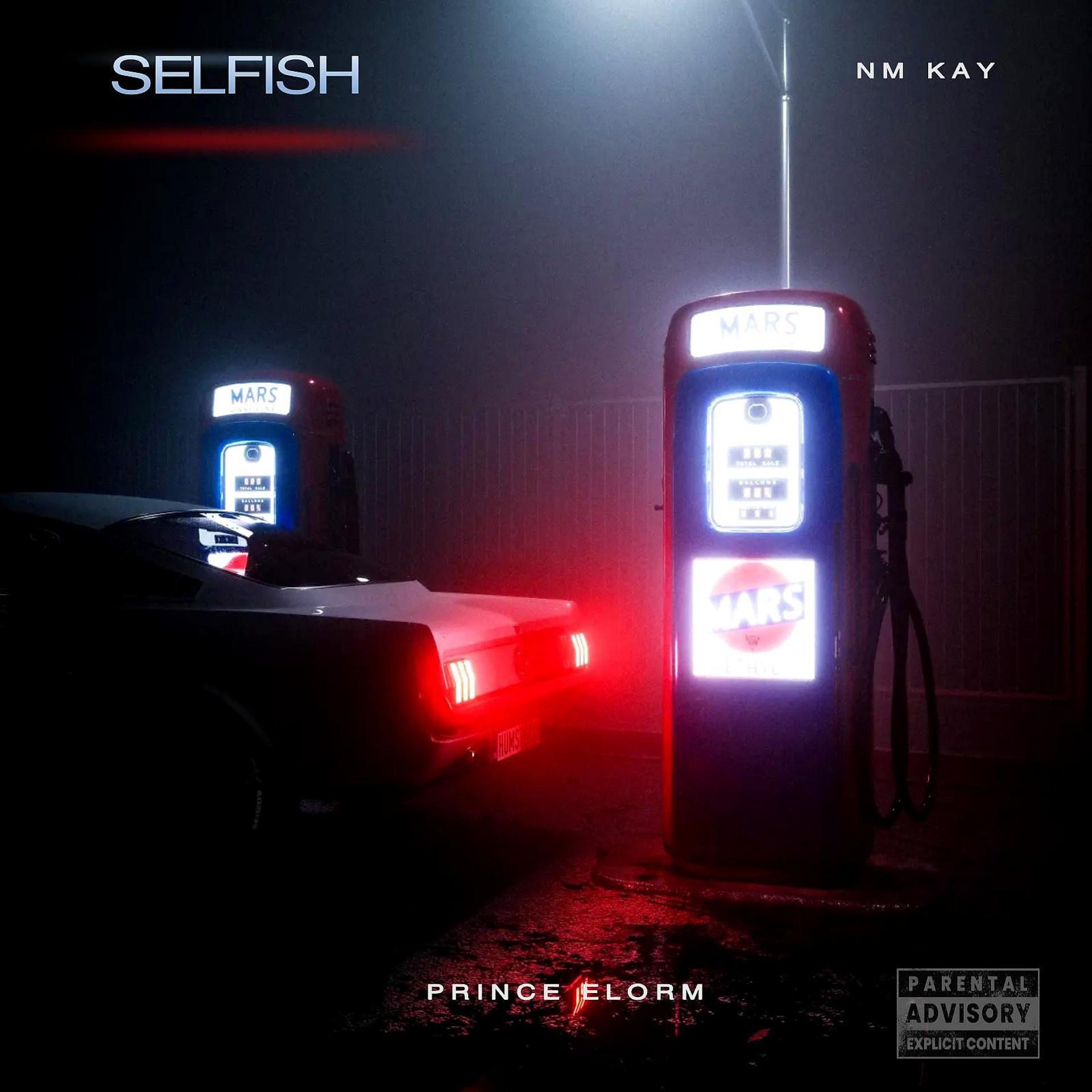 Постер альбома Selfish (feat. NM Kay)