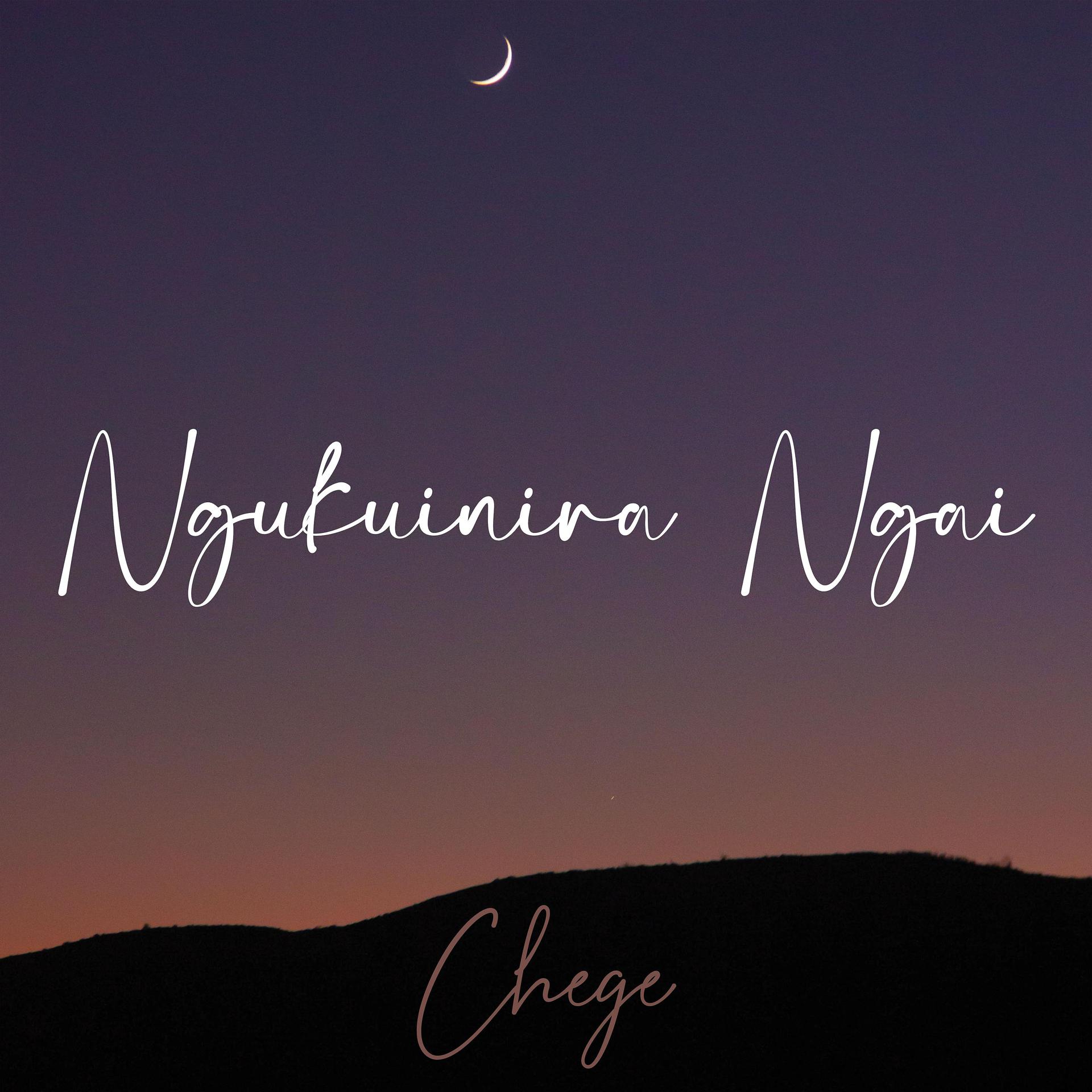 Постер альбома Ngukuinira Ngai