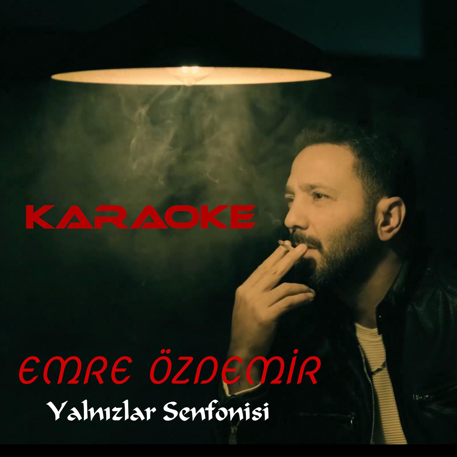 Постер альбома Yalnızlar Senfonisi