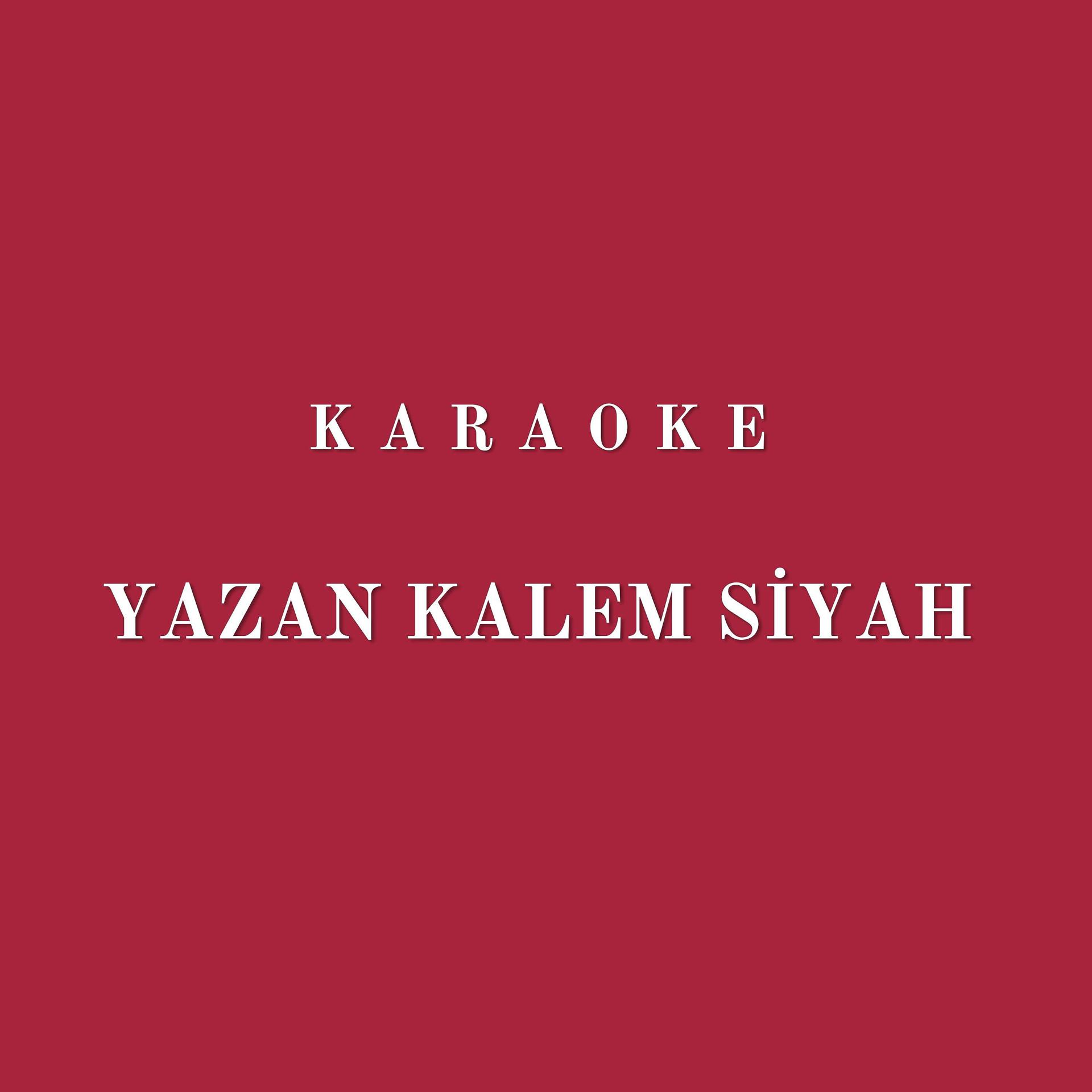 Постер альбома Yazan Kalem Siyah