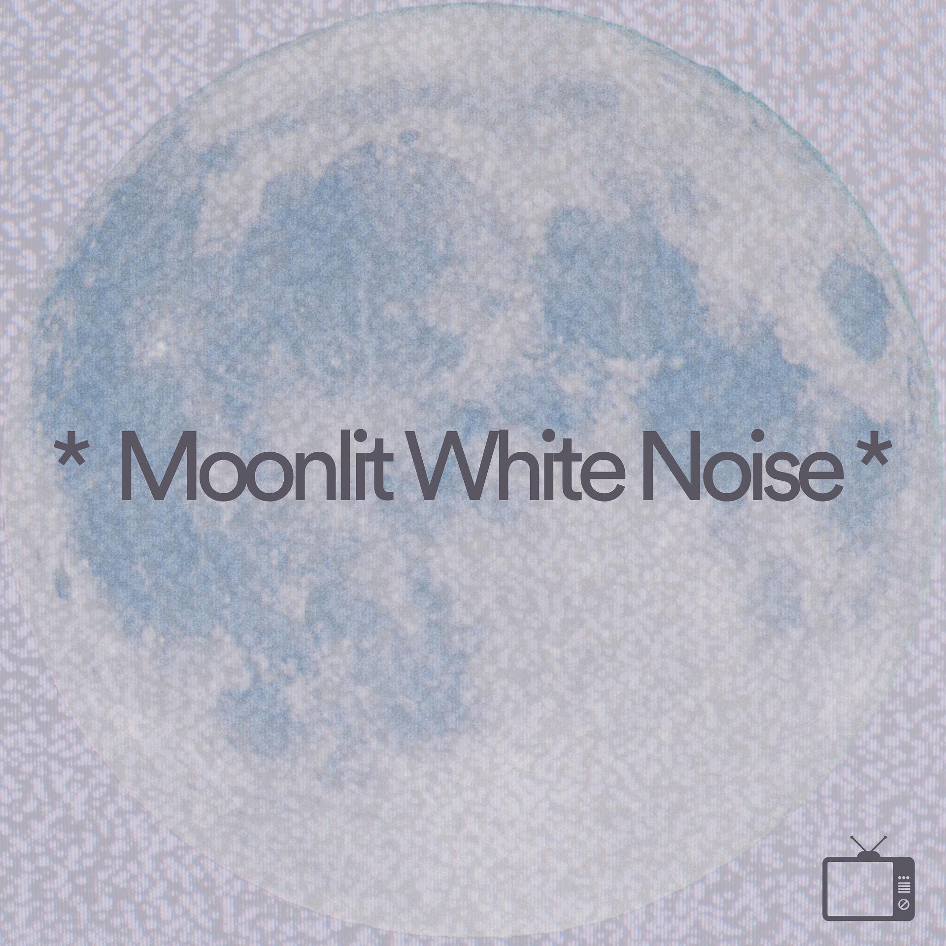Постер альбома * Moonlit White Noise *