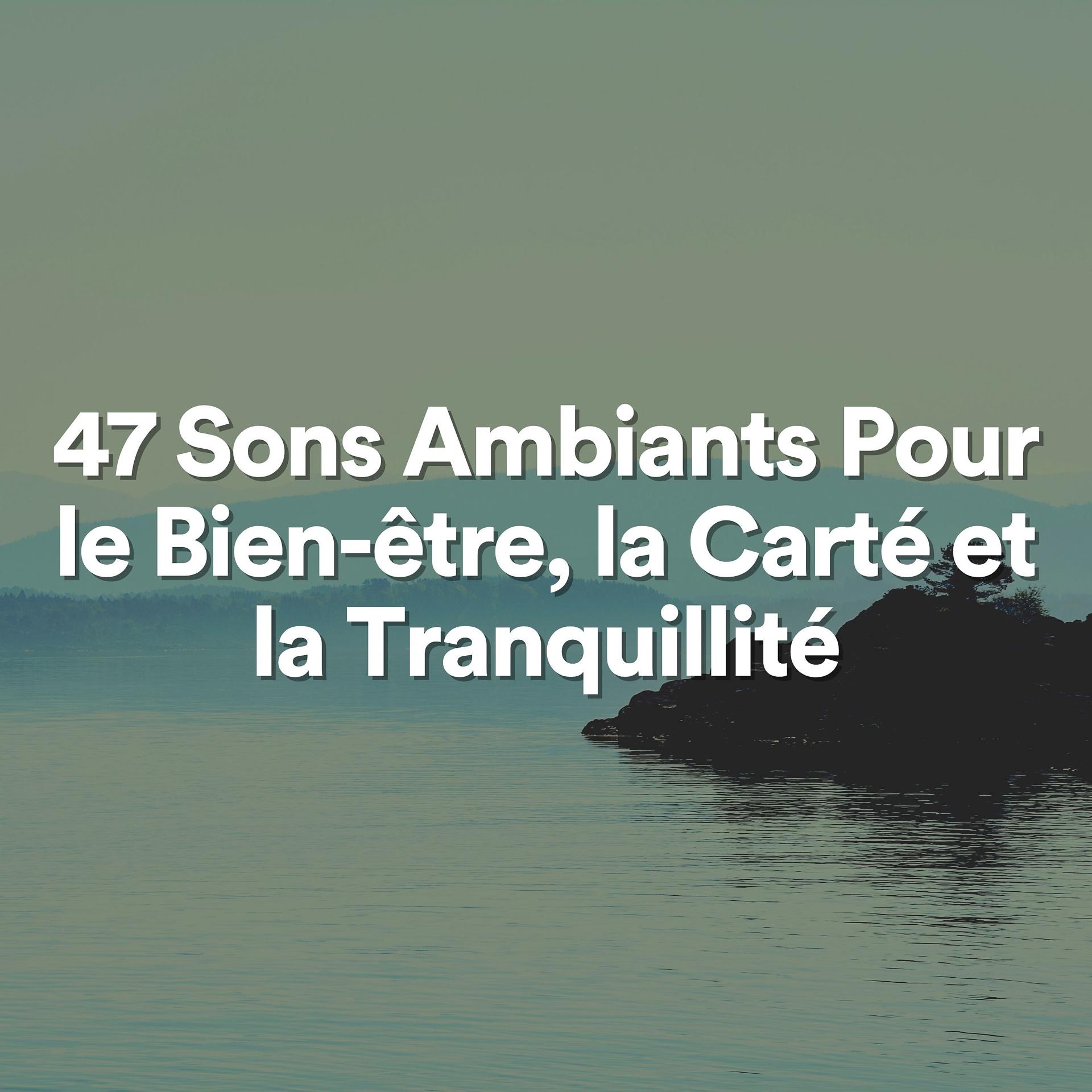Постер альбома 47 Sons Ambiants Pour le Bien-être, la Carté et la Tranquillité