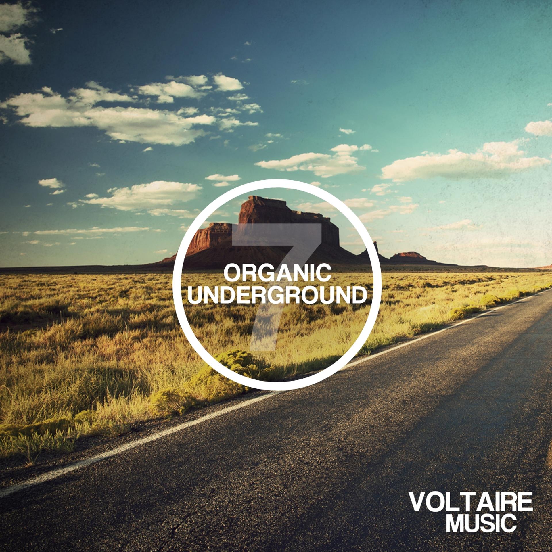 Постер альбома Organic Underground Issue 7