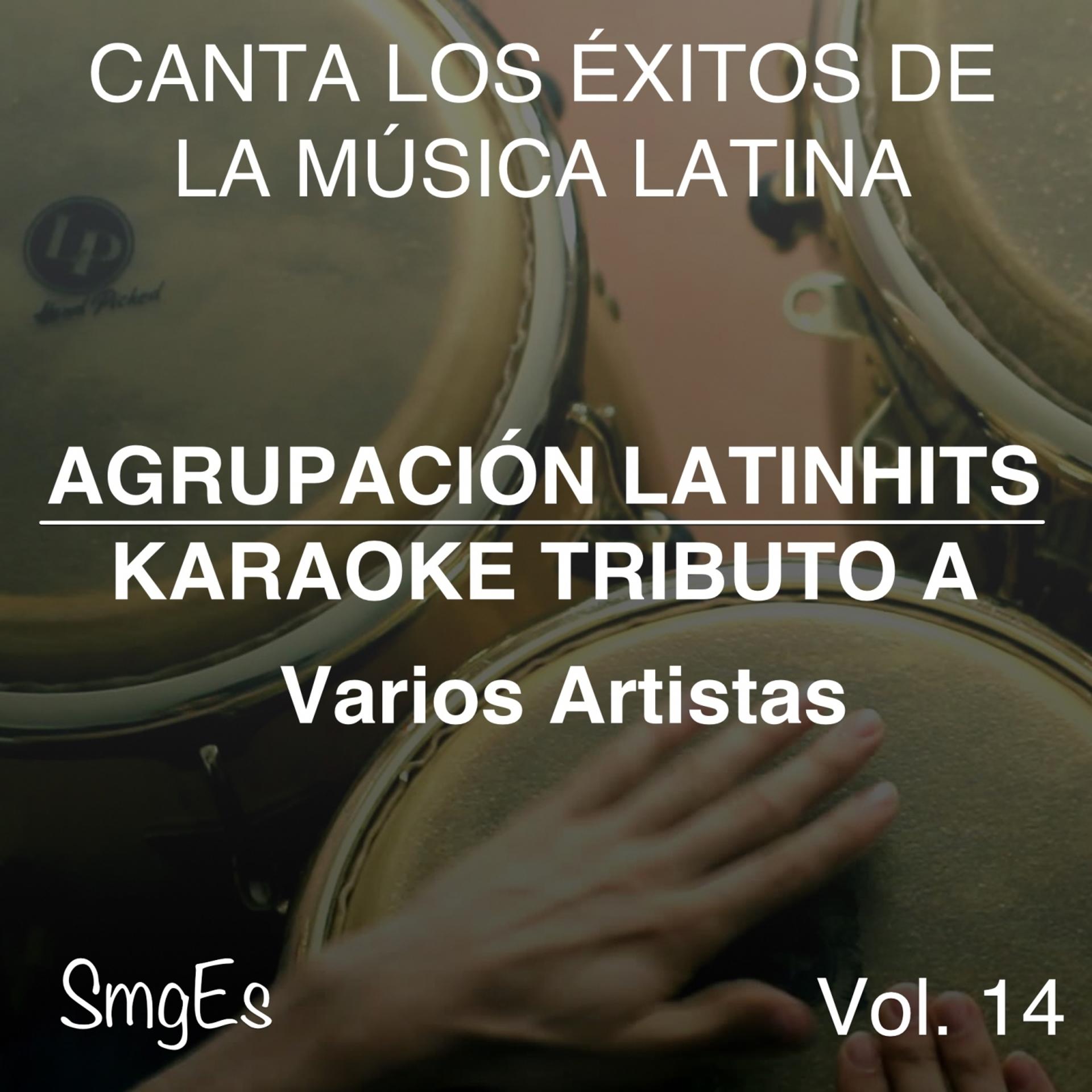 Постер альбома Instrumental Karaoke Series: Varios Artistas, Vol. 14