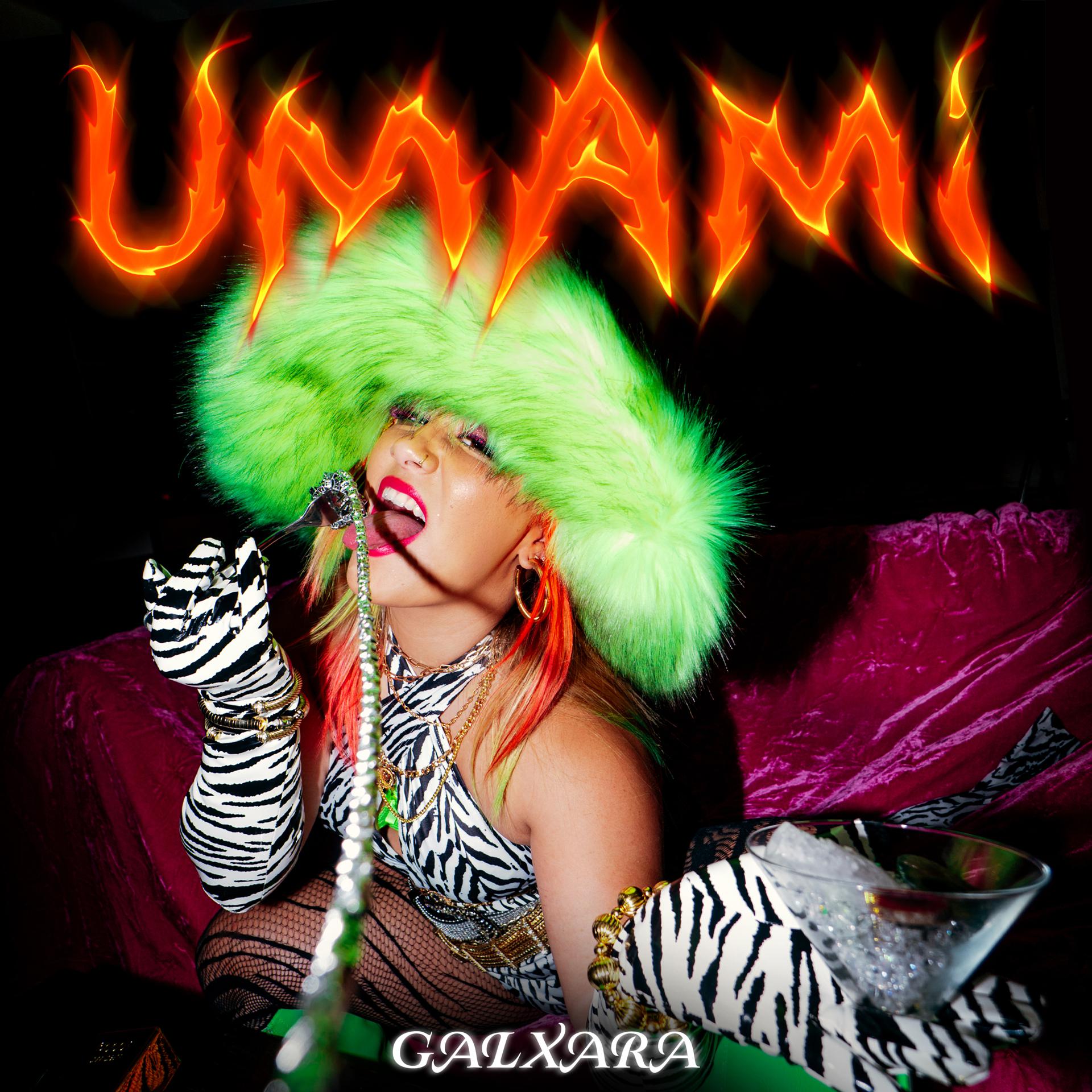 Постер альбома Umami