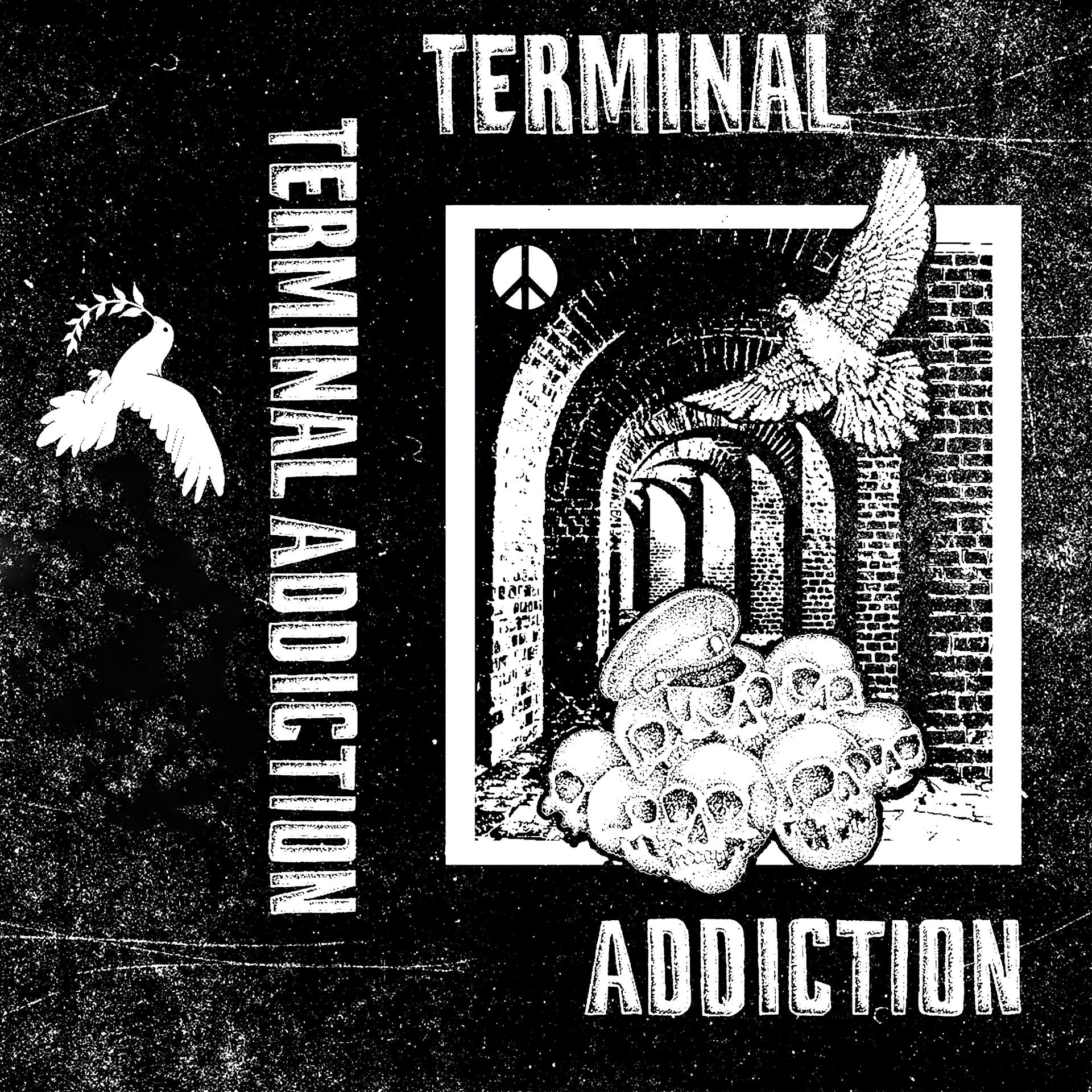Постер альбома Terminal Addiction