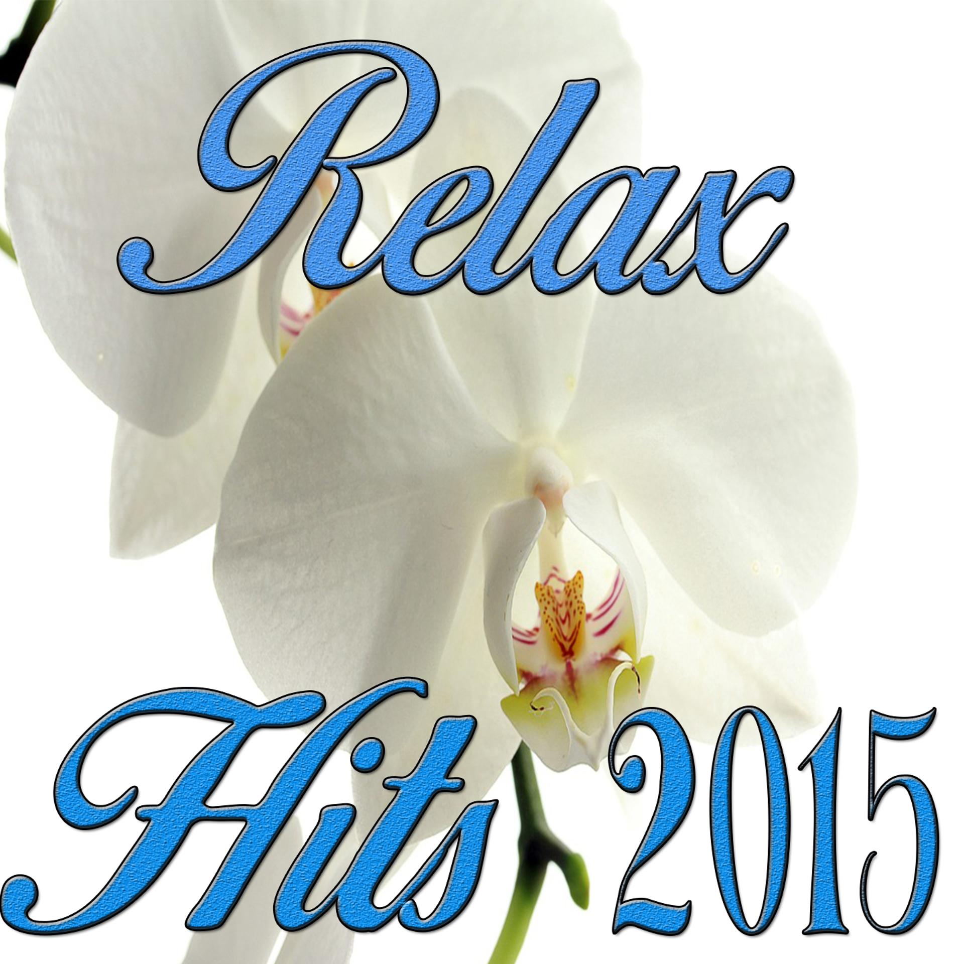 Постер альбома Relax Hits 2015