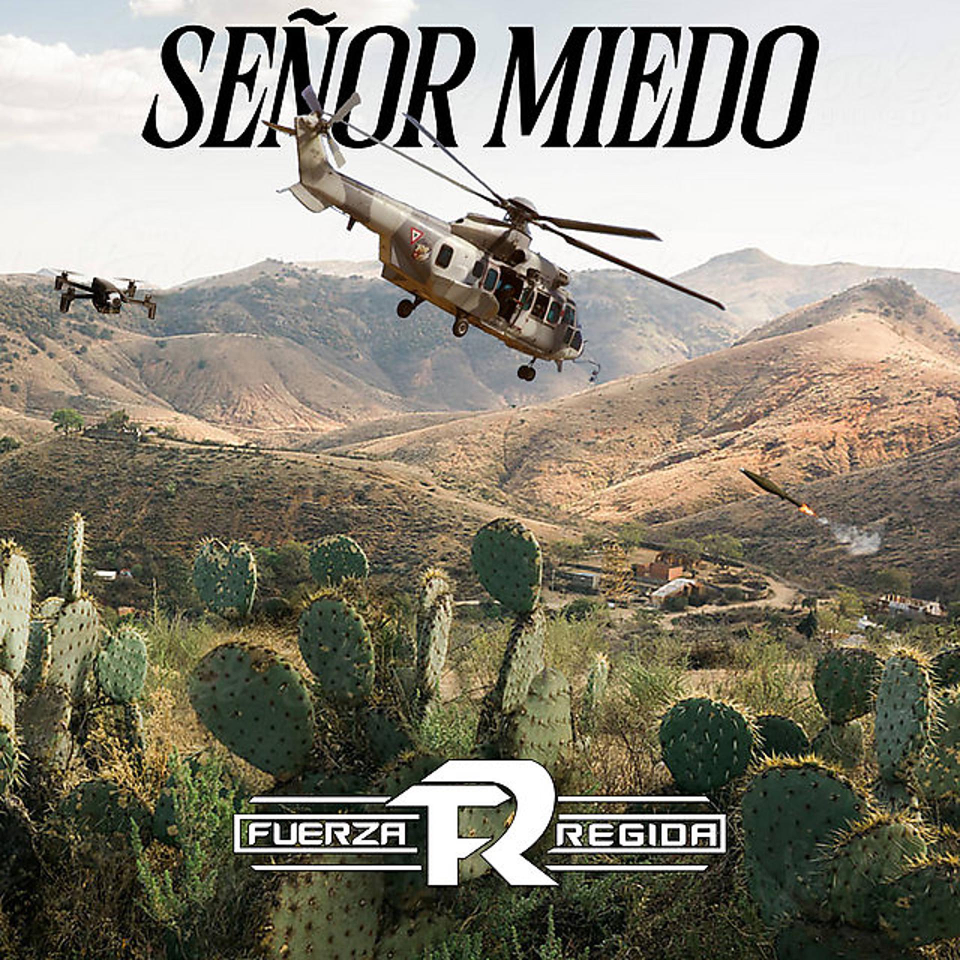 Постер альбома Señor Miedo
