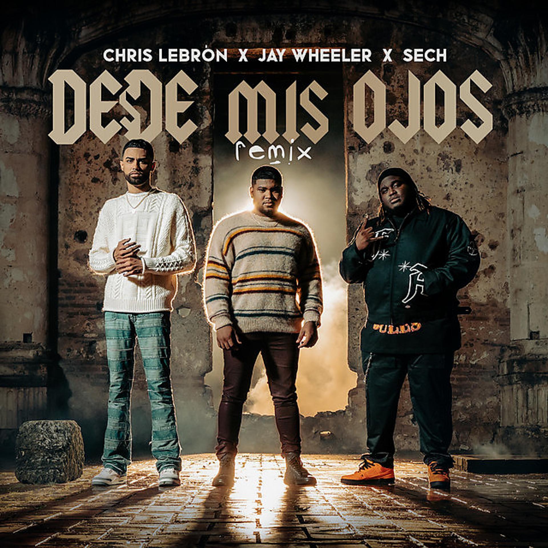 Постер альбома Desde Mis Ojos (Remix)