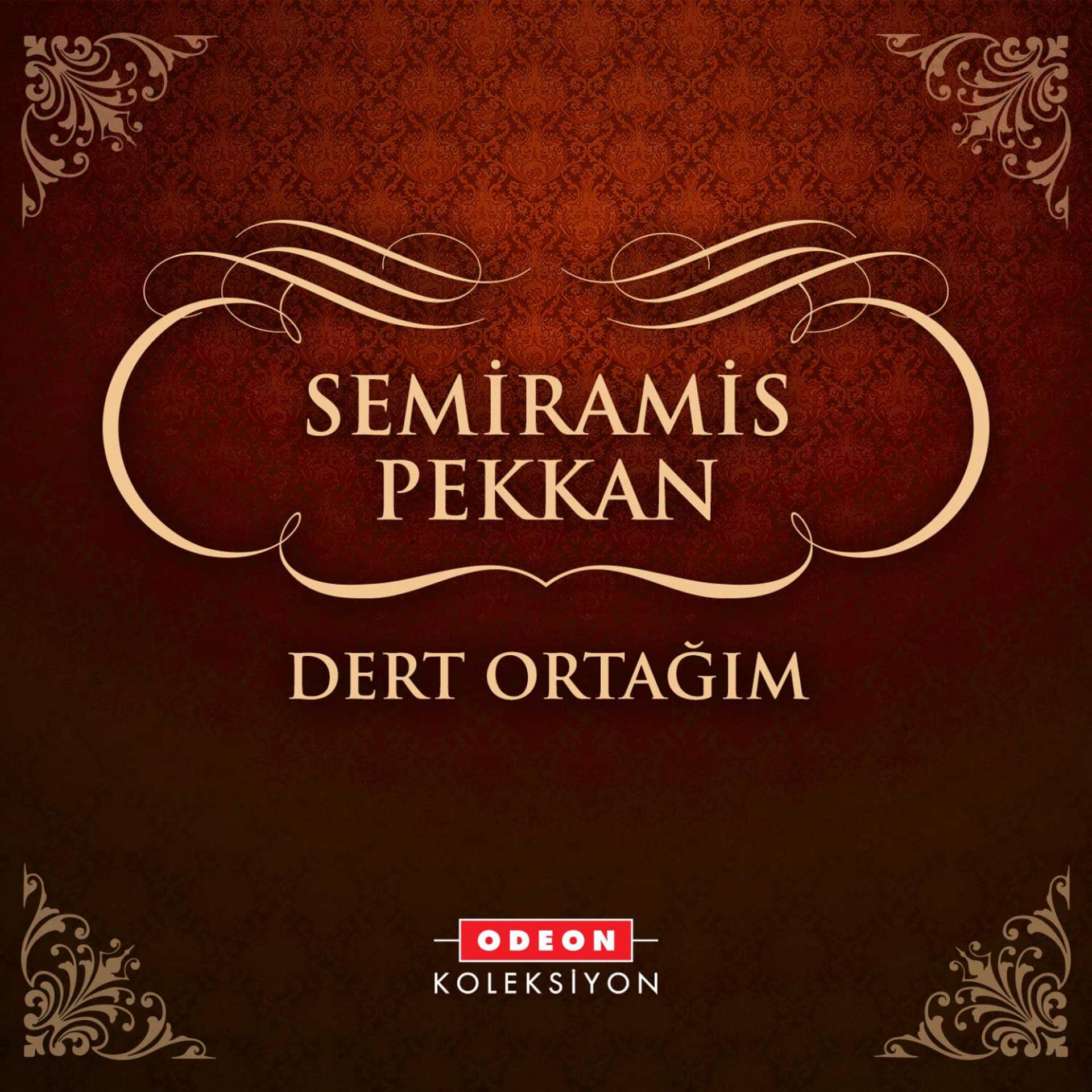 Постер альбома Dert Ortağım
