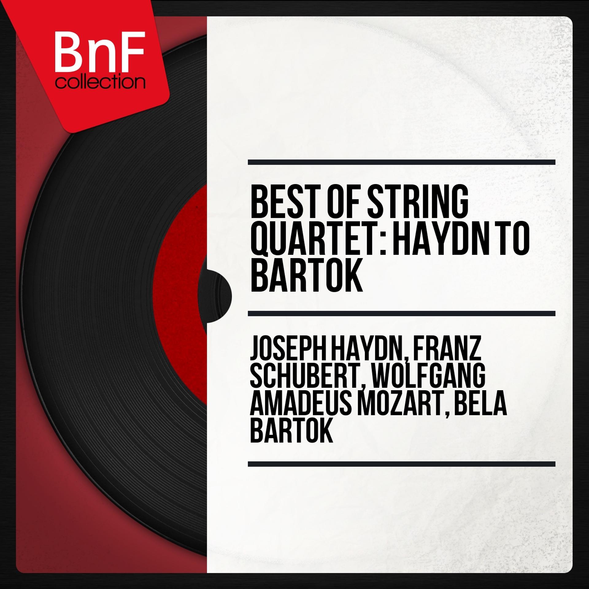 Постер альбома Best of String Quartet: Haydn to Bartók
