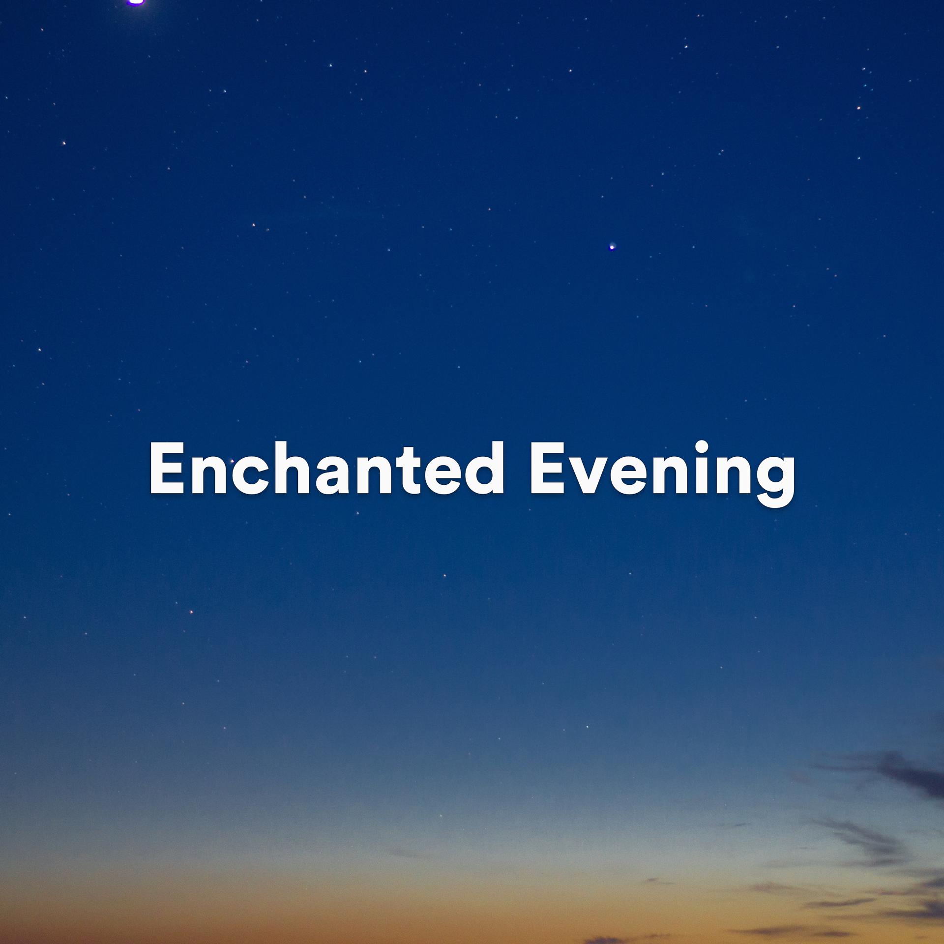 Постер альбома Enchanted Evening