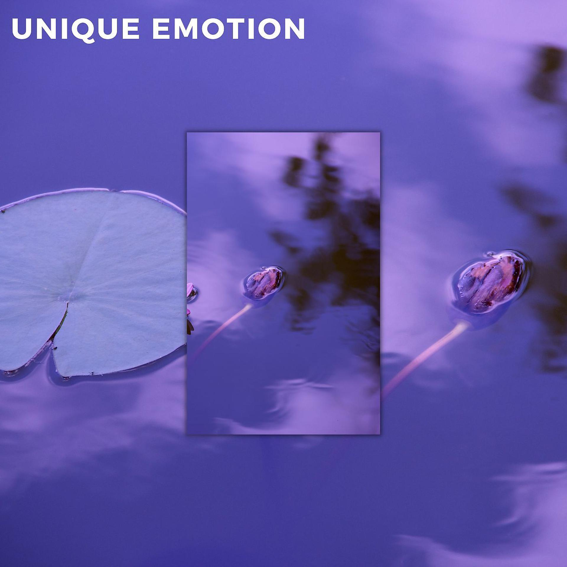 Постер альбома Unique emotion