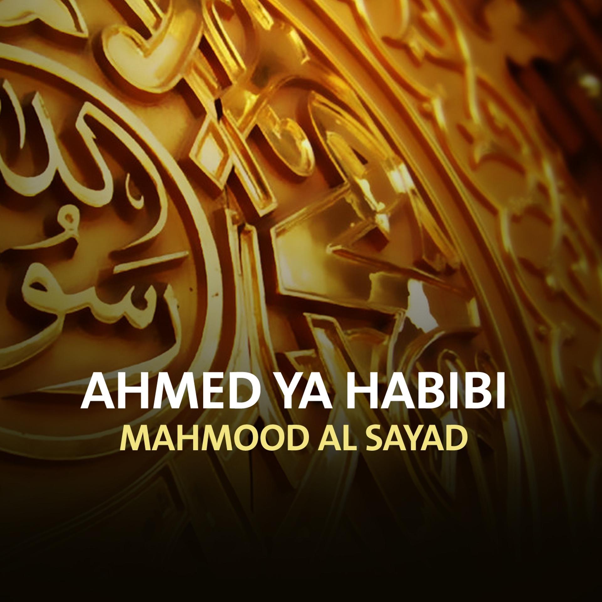 Постер альбома Ahmed Ya Habibi