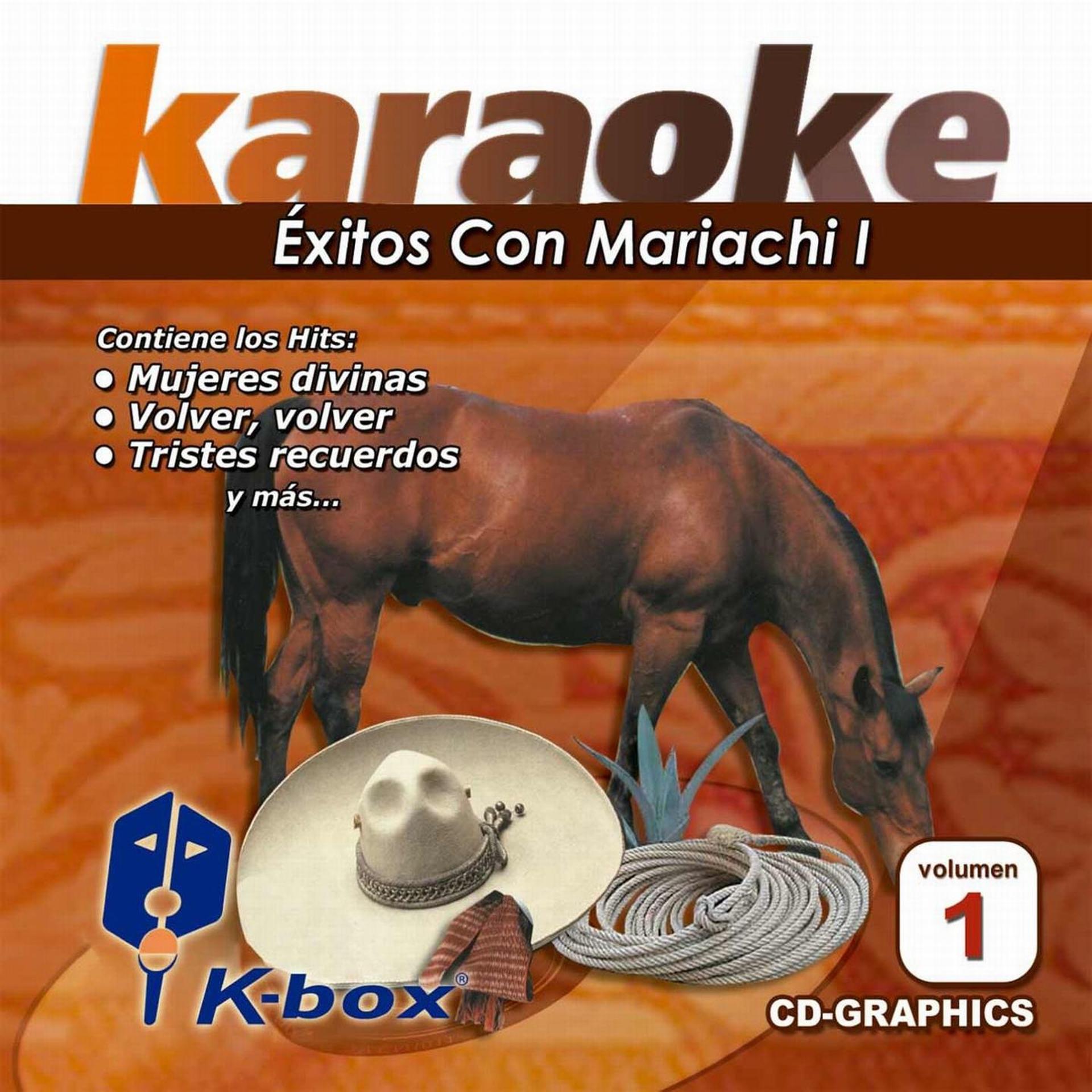Постер альбома Éxitos Con Mariachi I