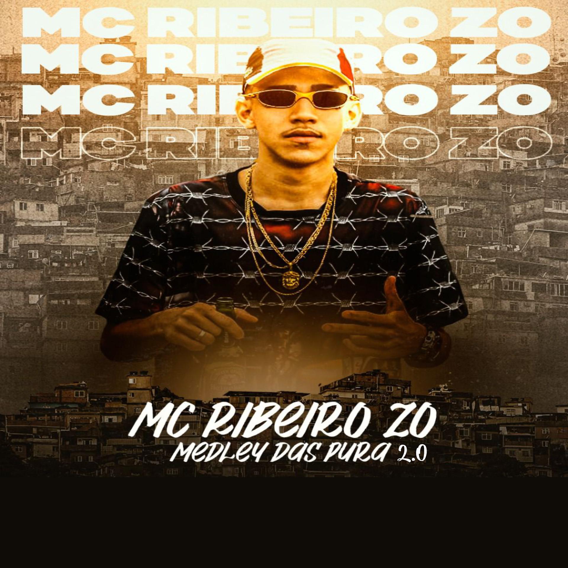 Постер альбома Medley das Pura 2.0