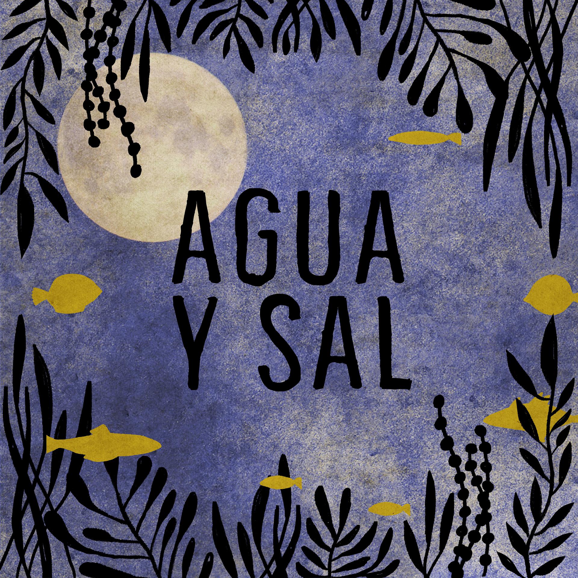 Постер альбома Agua y Sal