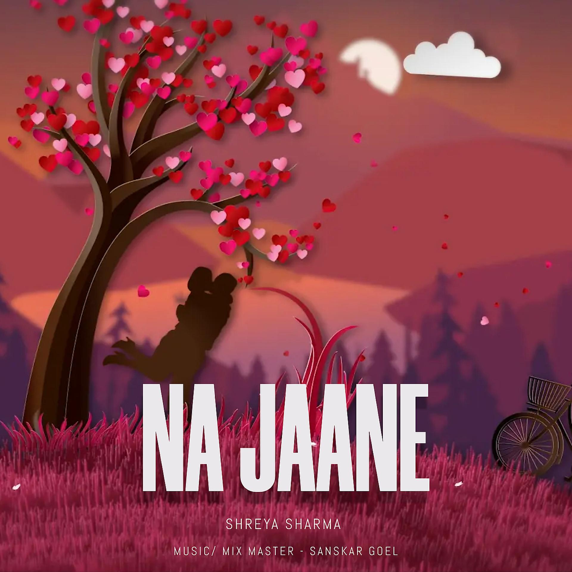 Постер альбома Na Jaane