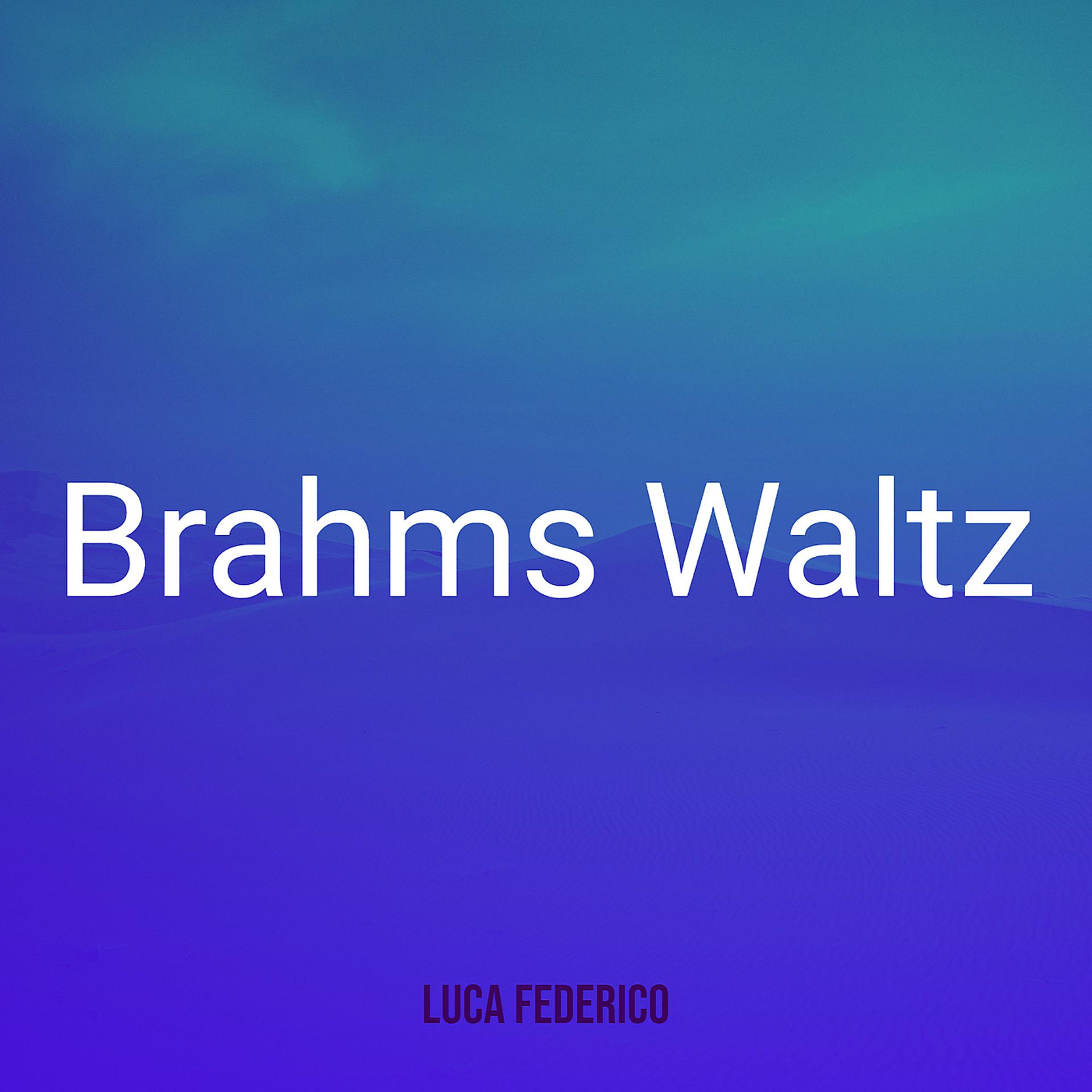 Постер альбома Brahms Waltz