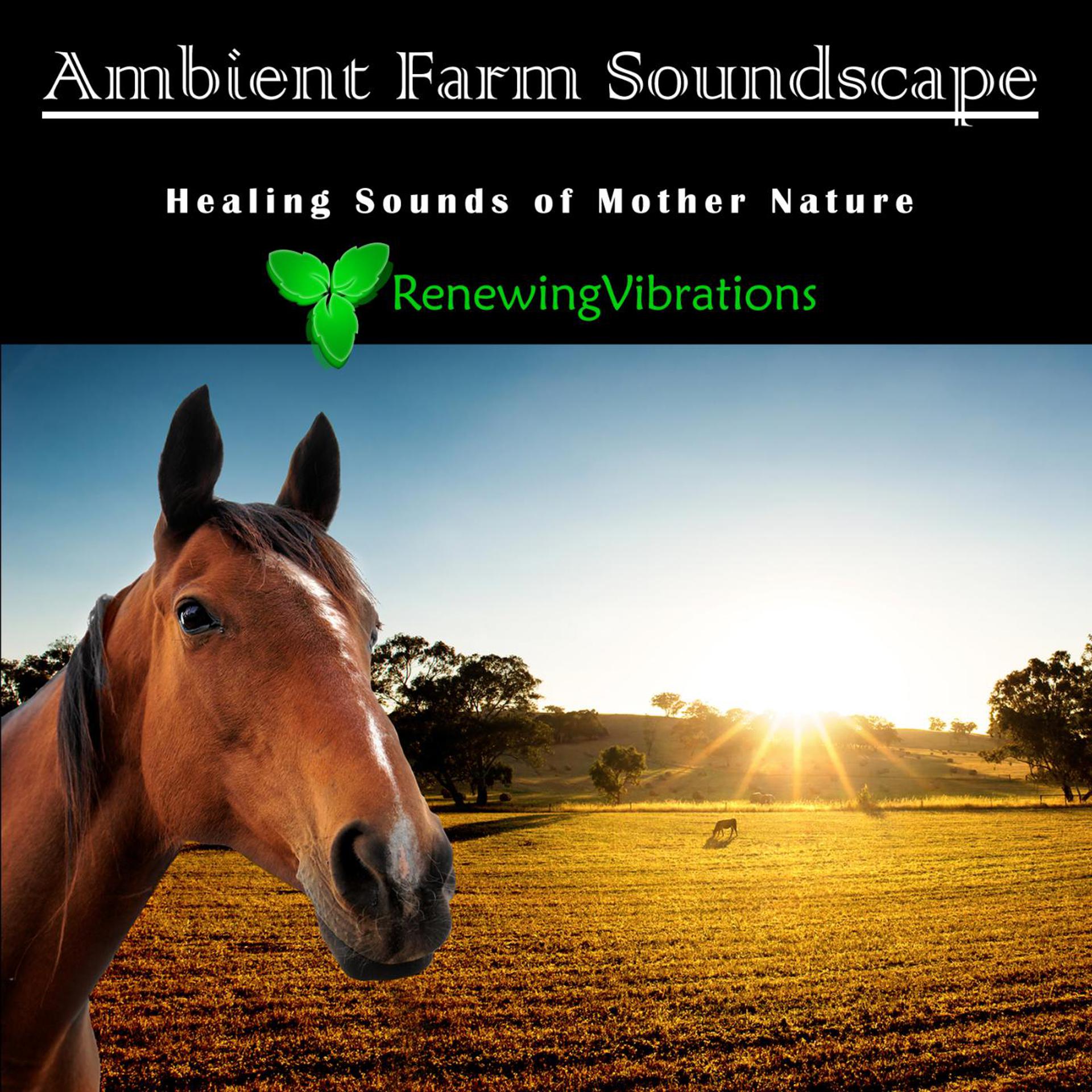Постер альбома Ambient Farm Soundscape. Healing Sounds of Mother Nature. Great for Relaxation, Meditation, Sound Therapy and Sleep.