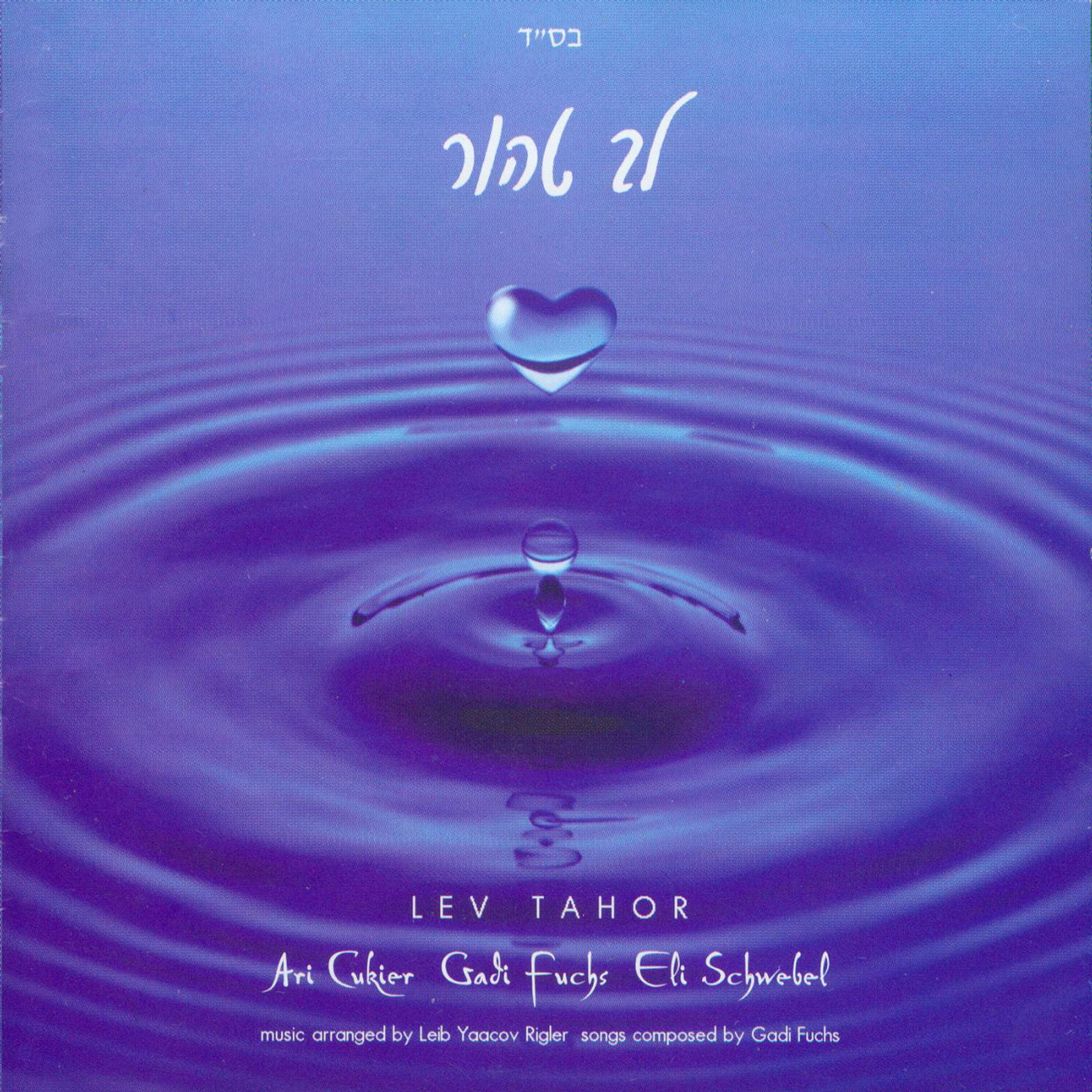 Постер альбома Lev Tahor 2