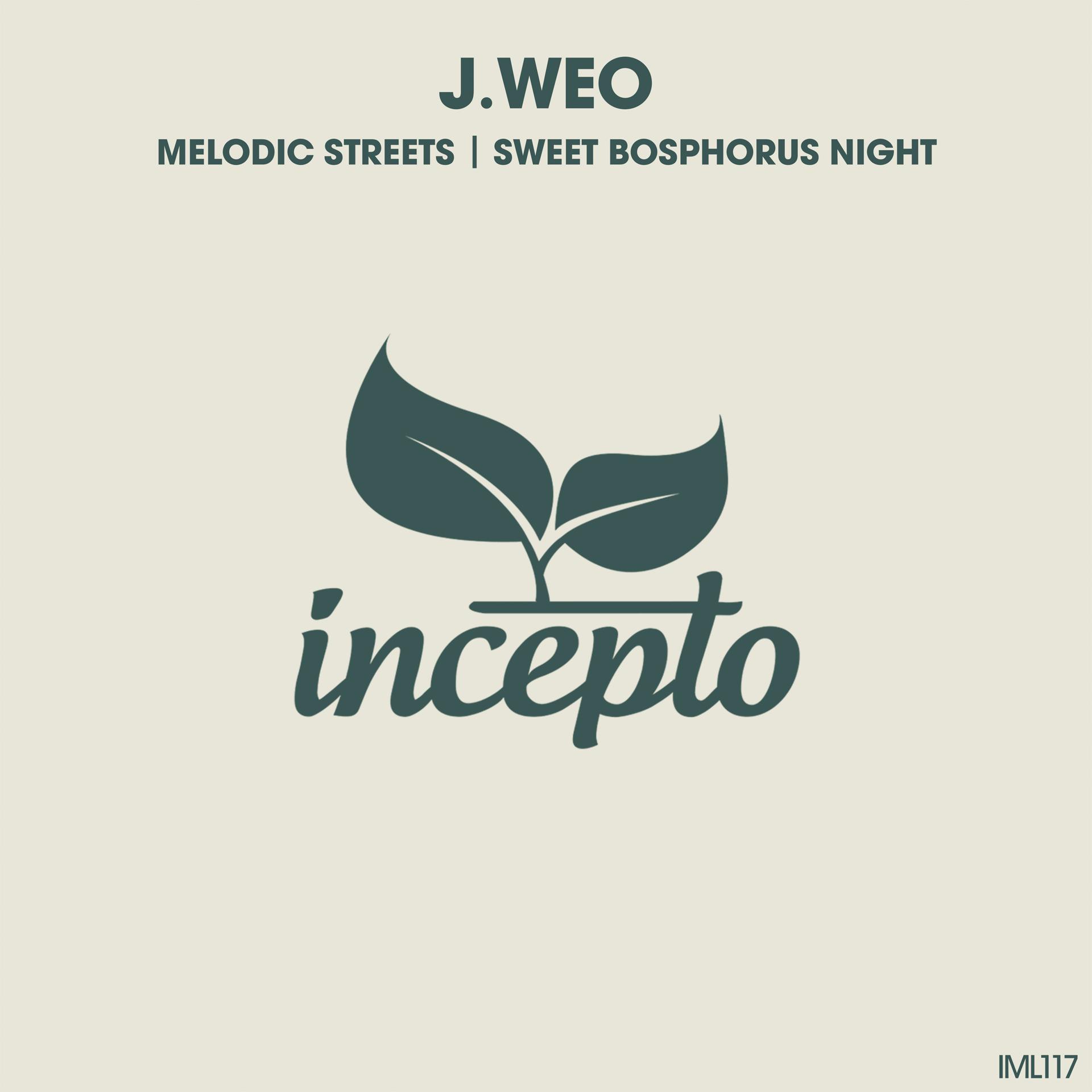 Постер альбома Melodic Streets / Sweet Bosphorus Night