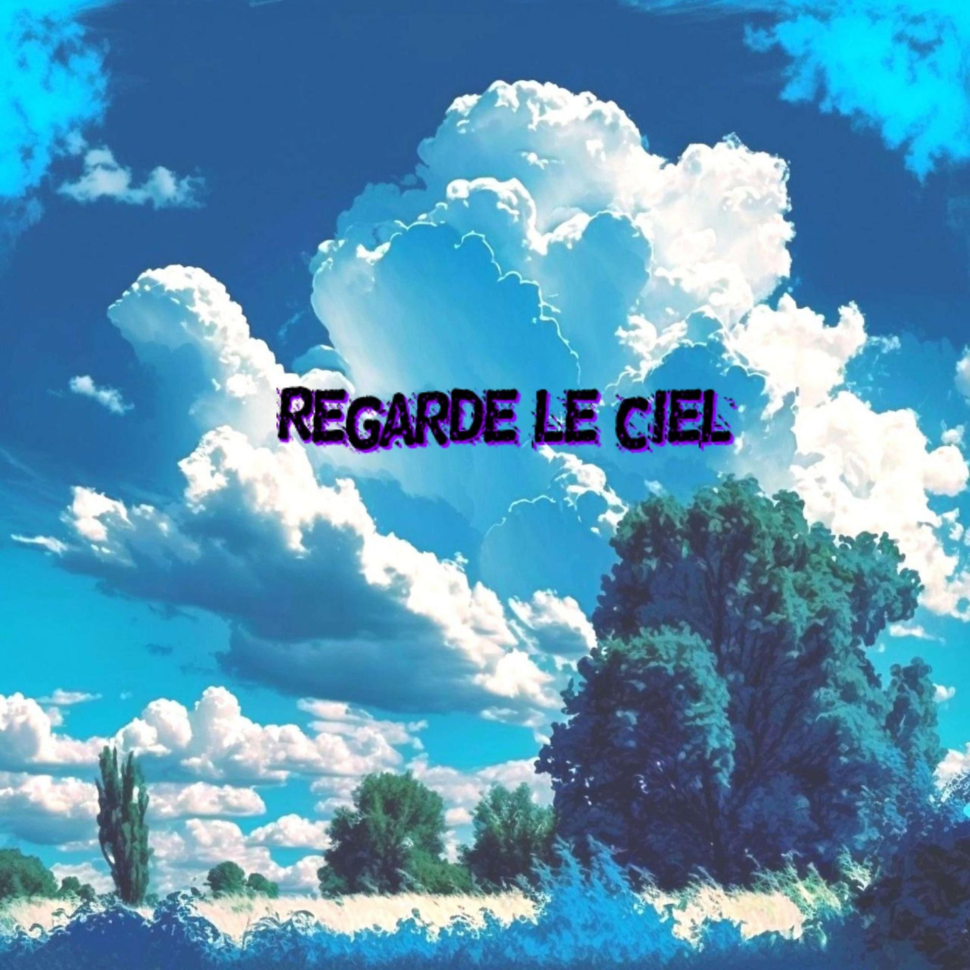 Постер альбома Смотри на небо/Regarde le ciel