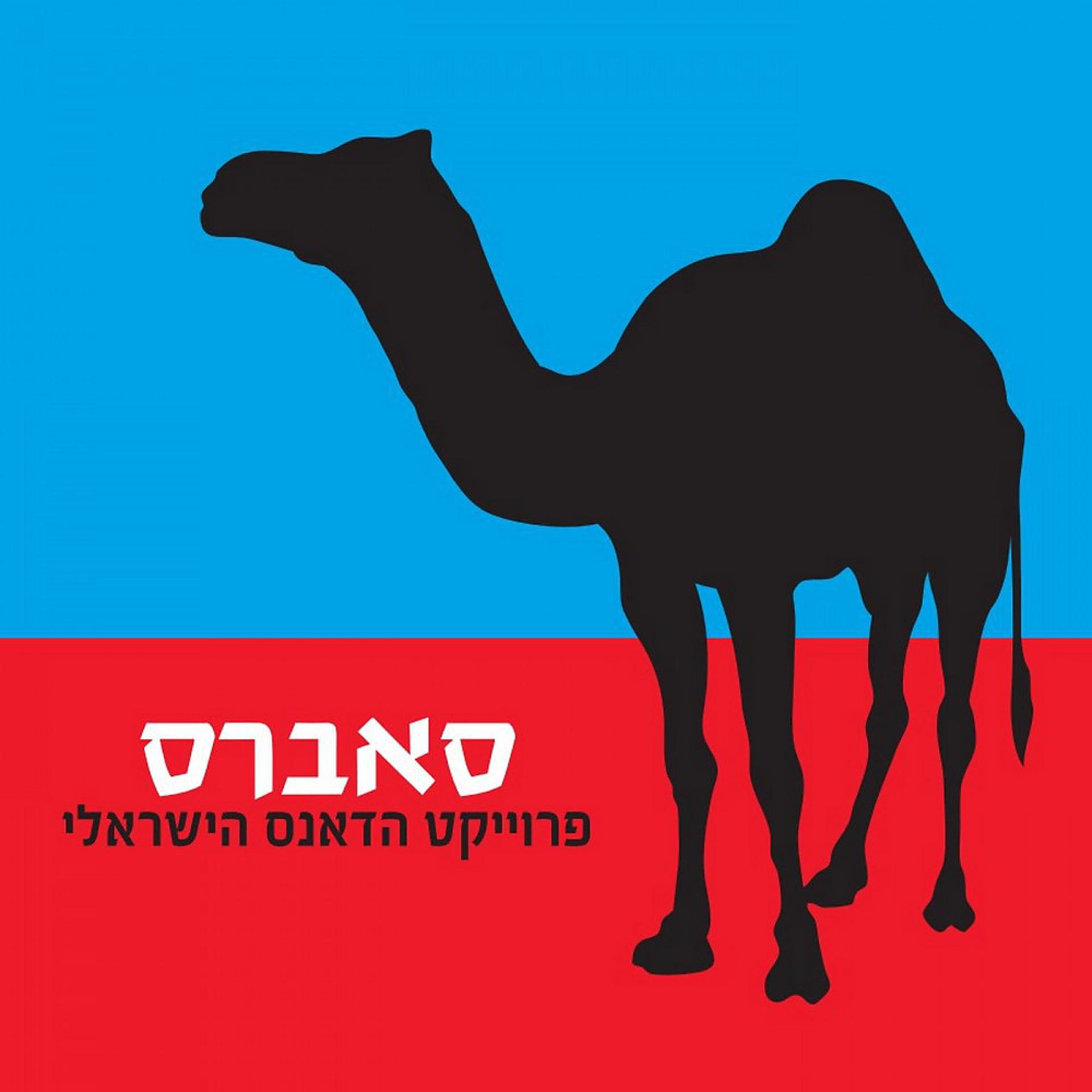 Постер альбома Sabres the Israeli Dance Project