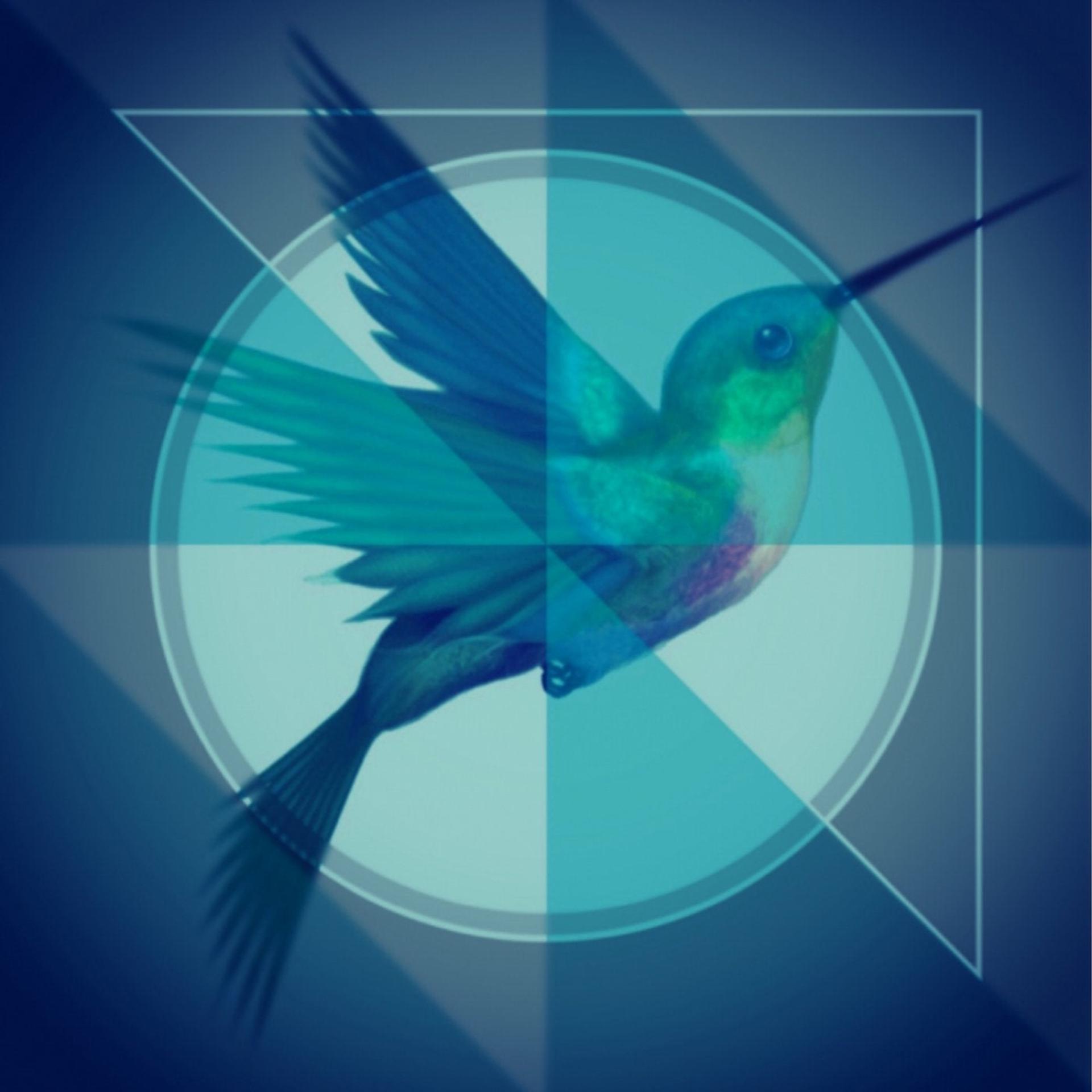Постер альбома Bird Tribe