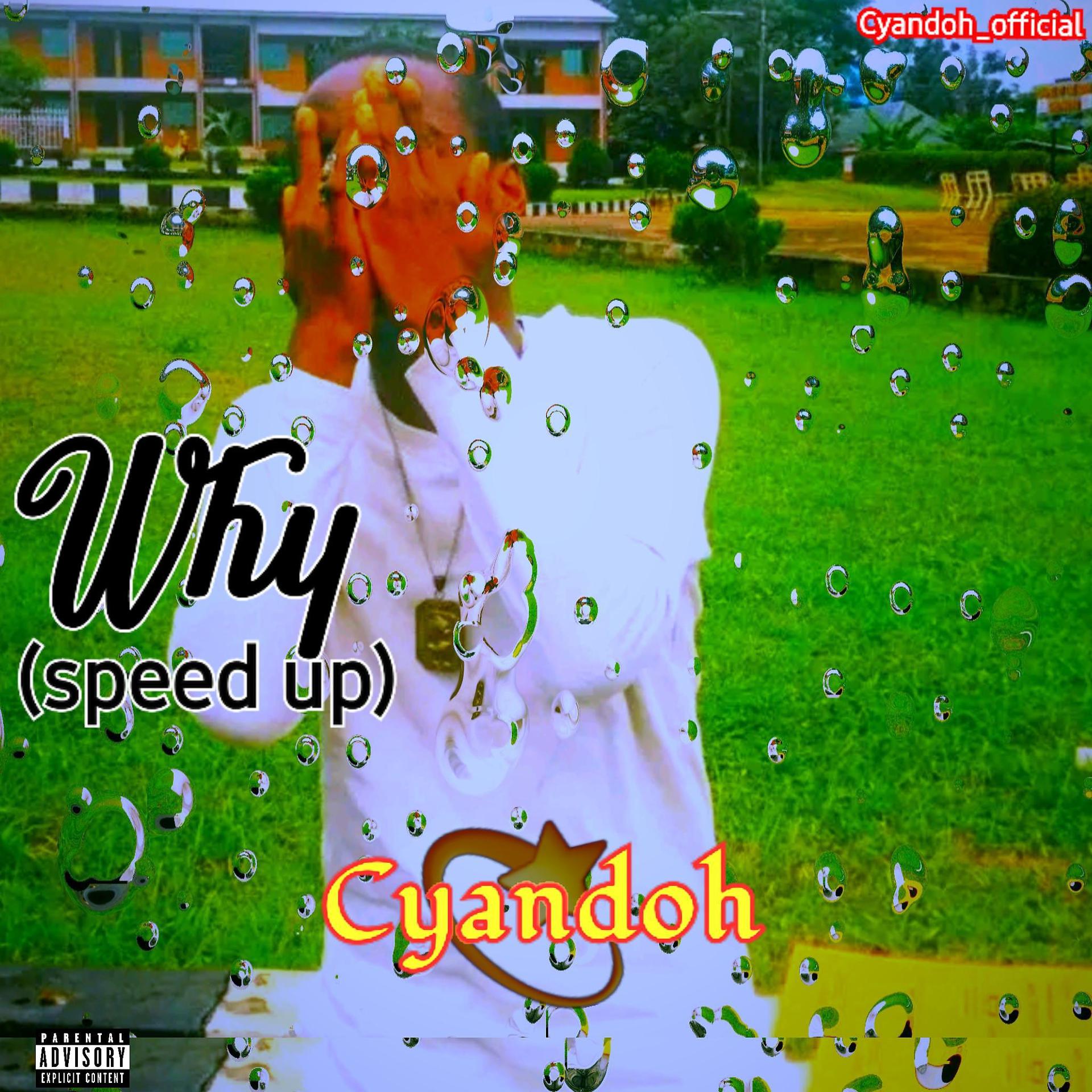 Постер альбома Why (speed up)