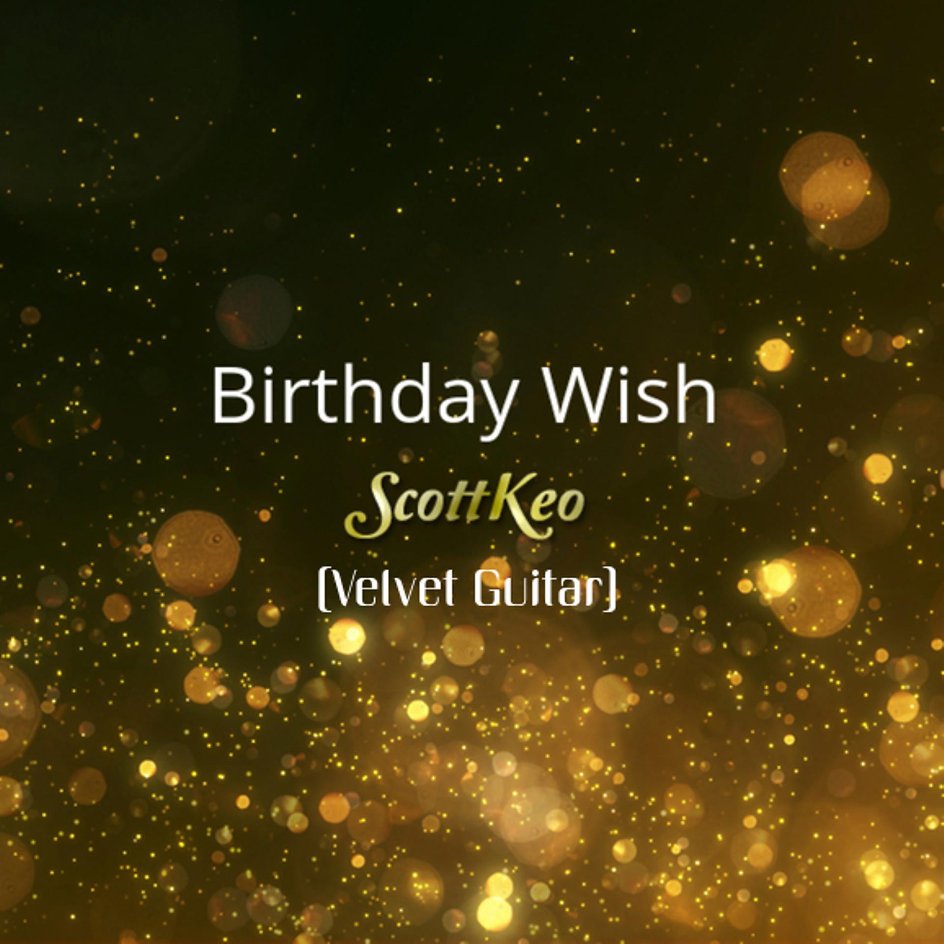 Постер альбома Birthday Wish (Velvet Guitar)