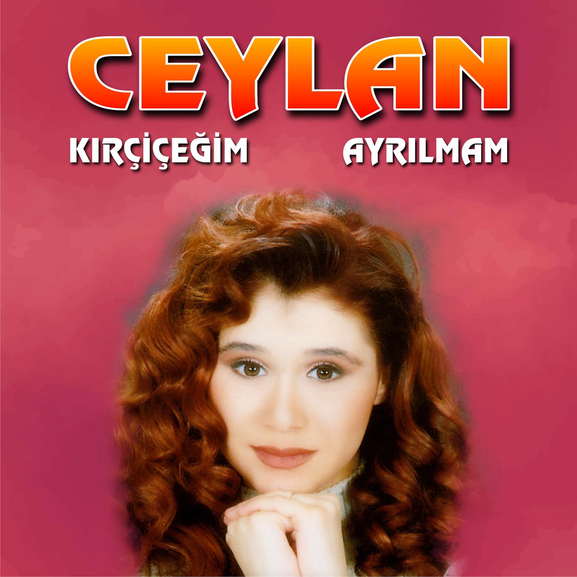 Постер альбома Ayrılmam / Kır Çiçeğim