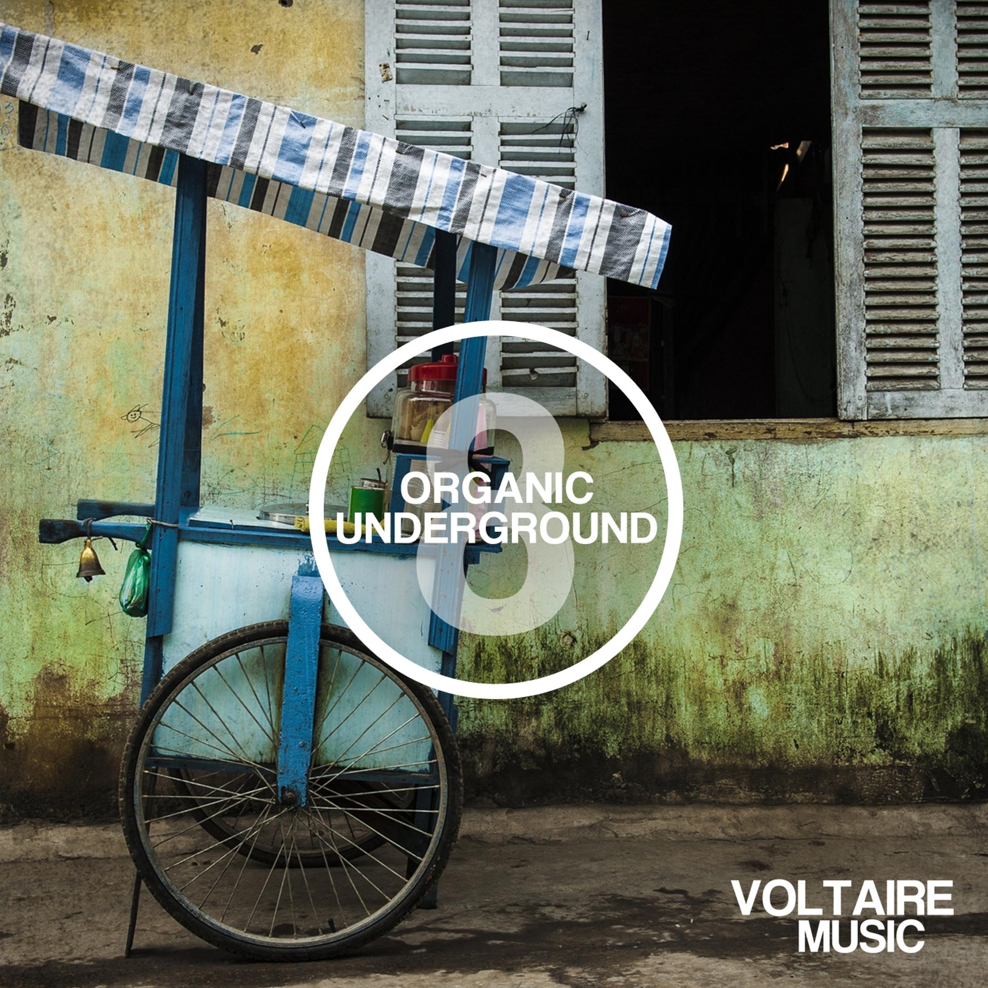 Постер альбома Organic Underground Issue 8